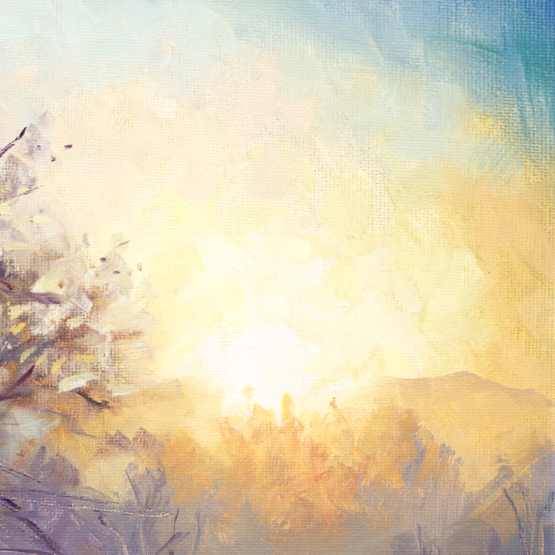 A solitary winter tree stands against a dramatic sunset, its branches dusted with snow.