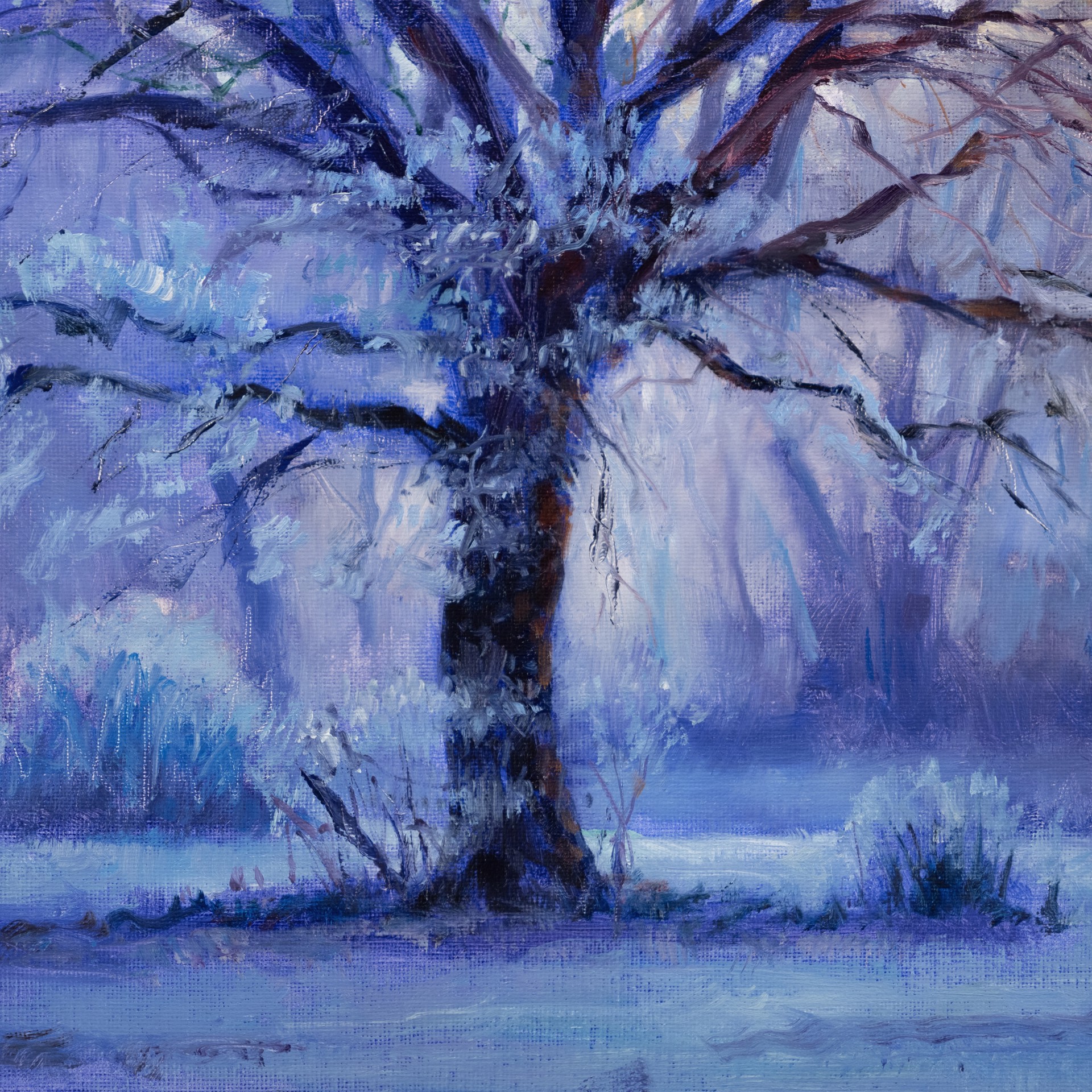 A solitary winter tree stands against a dramatic sunset, its branches dusted with snow.