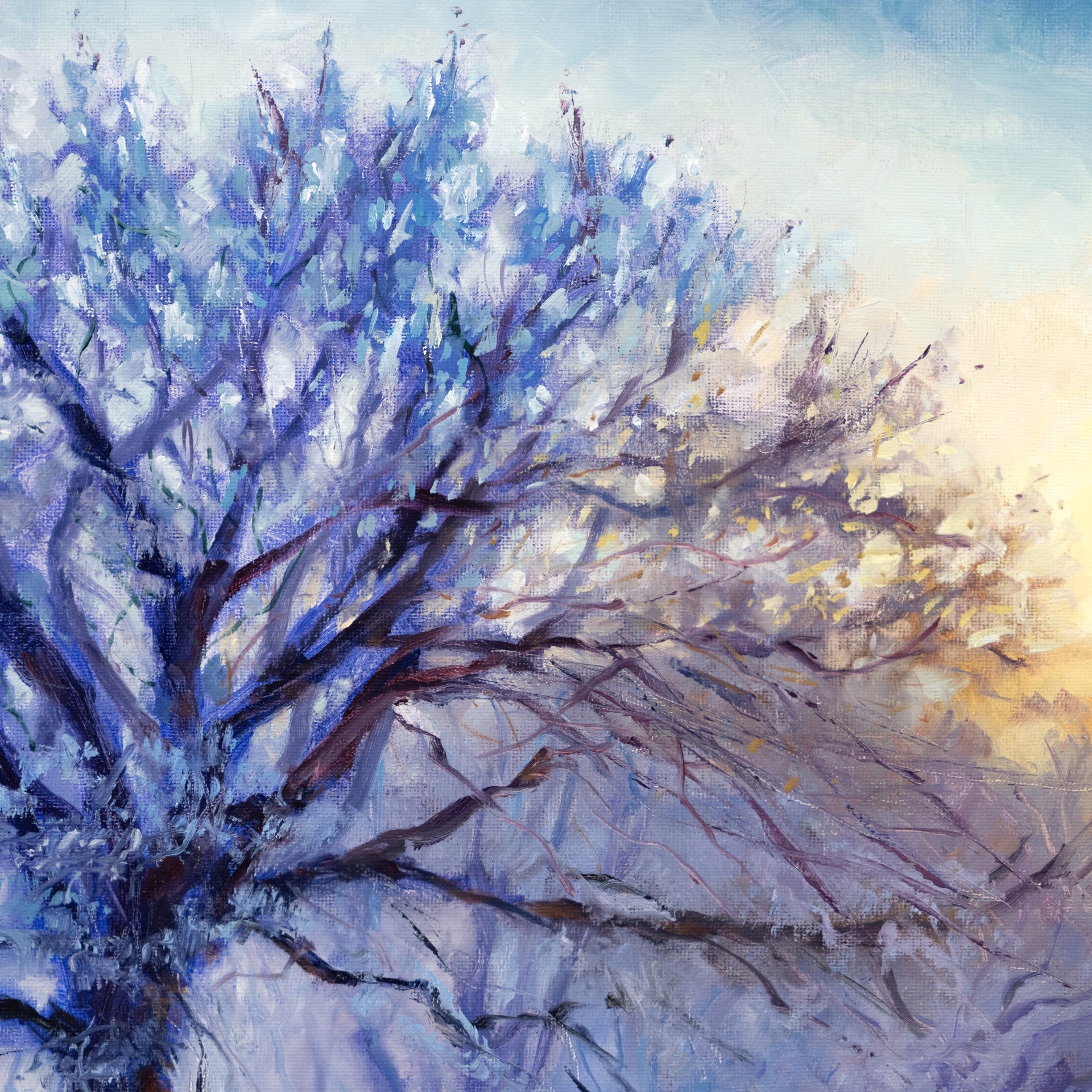 A solitary winter tree stands against a dramatic sunset, its branches dusted with snow.