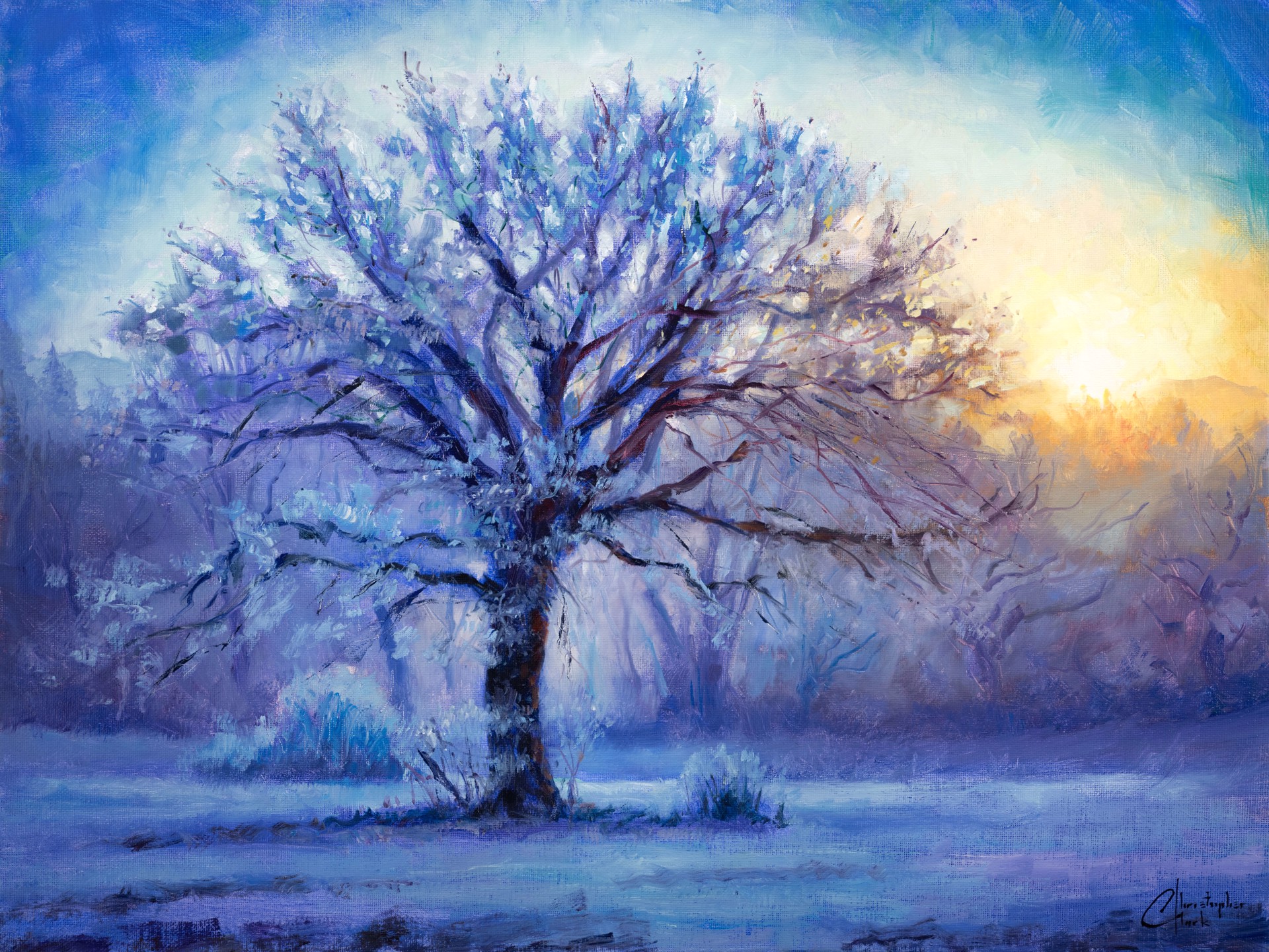 A solitary winter tree stands against a dramatic sunset, its branches dusted with snow.