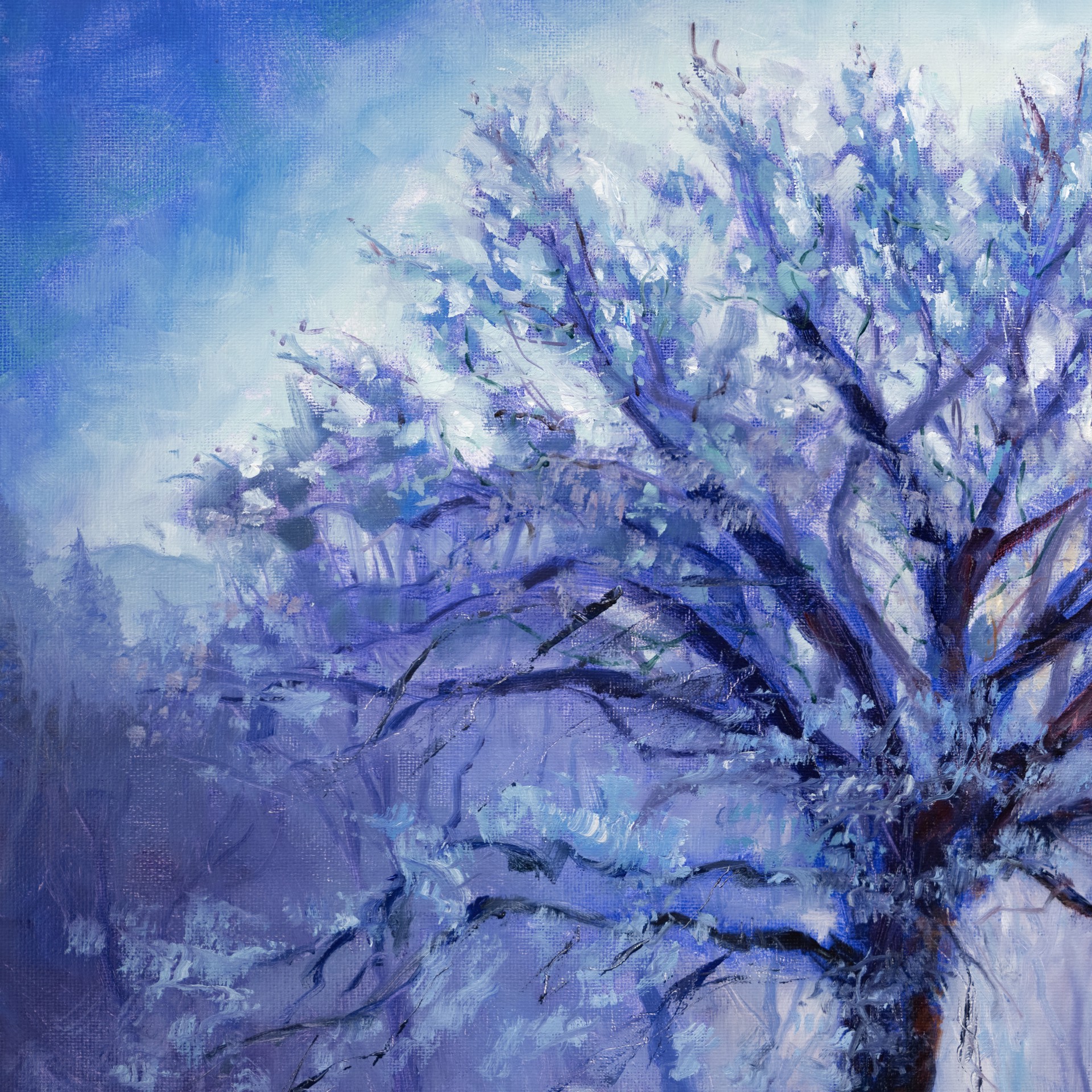 A solitary winter tree stands against a dramatic sunset, its branches dusted with snow.
