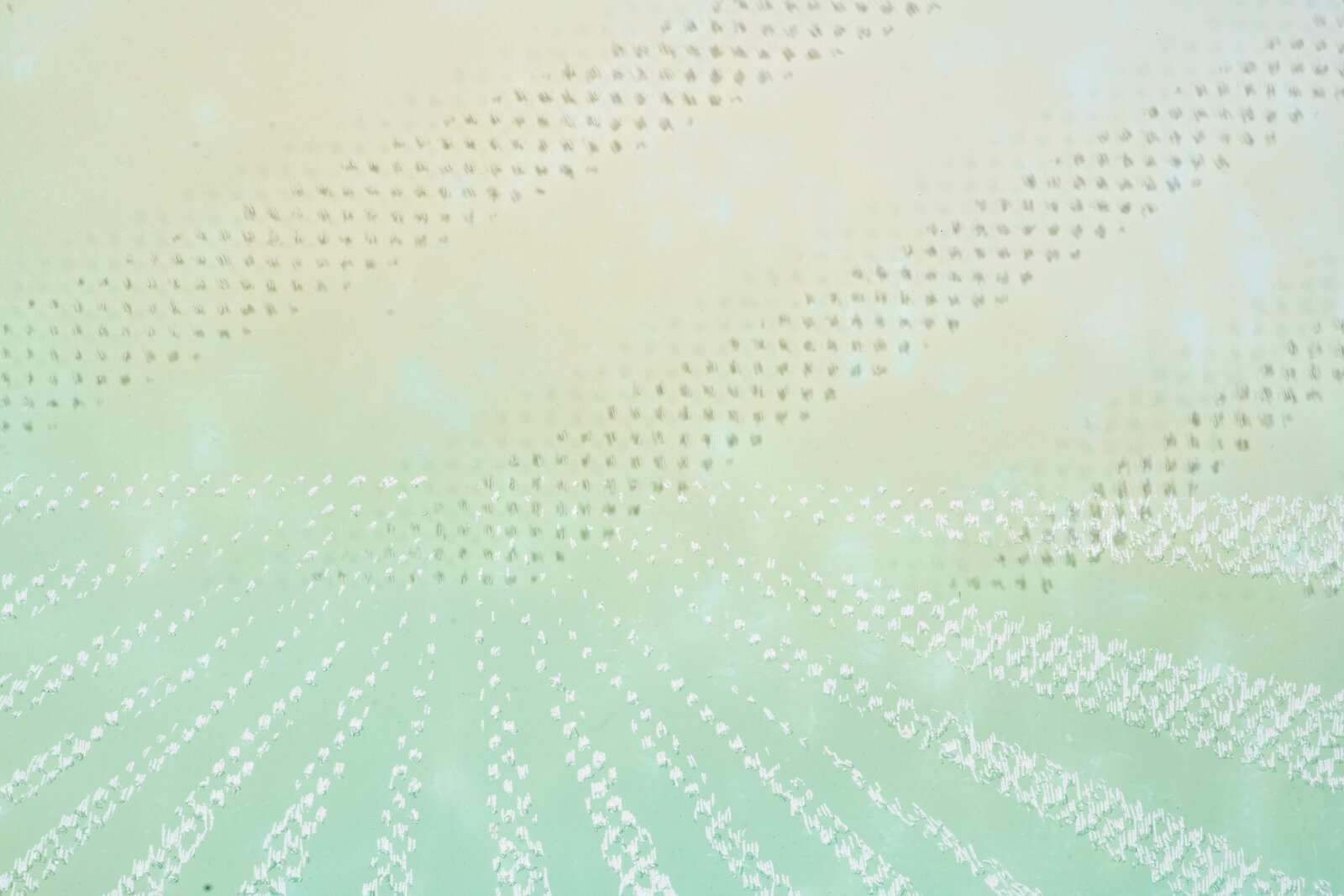 Artwork by Christopher Russell, The Explorers #5, Made of Pigment print scratched with a razor, plexiglass scratched with a razor 