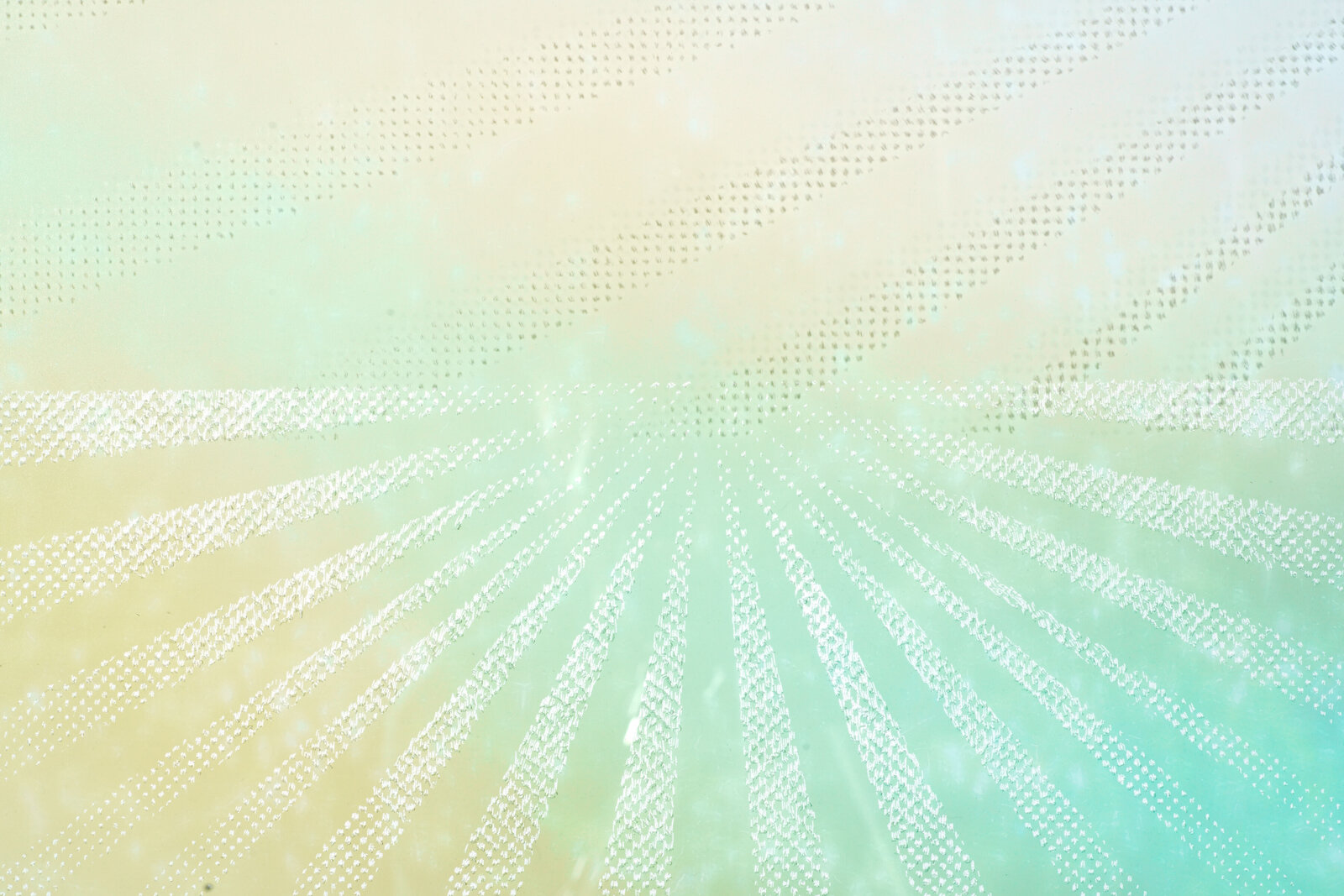 Artwork by Christopher Russell, The Explorers #5, Made of Pigment print scratched with a razor, plexiglass scratched with a razor 