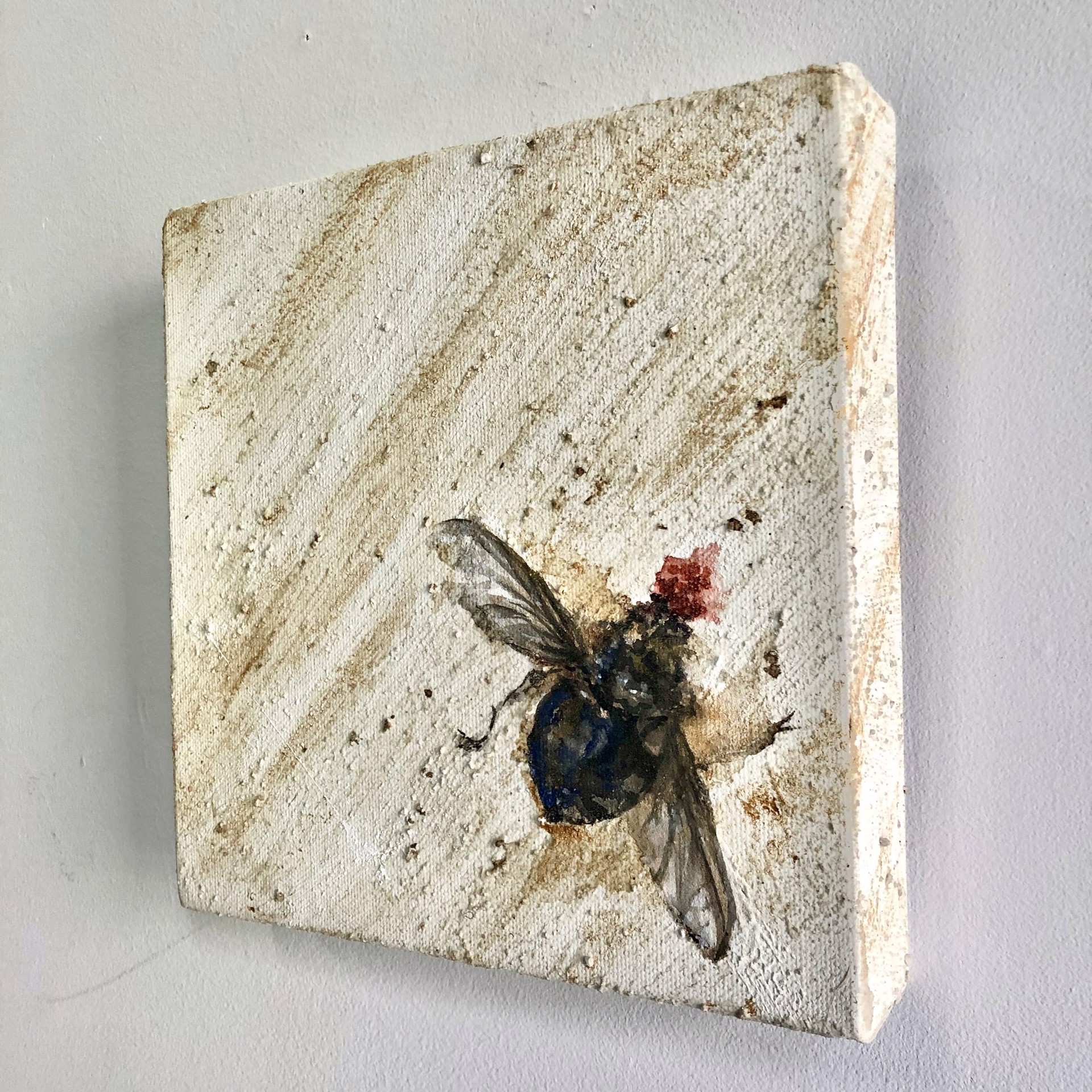 A painting of a fly on a piece of paper.