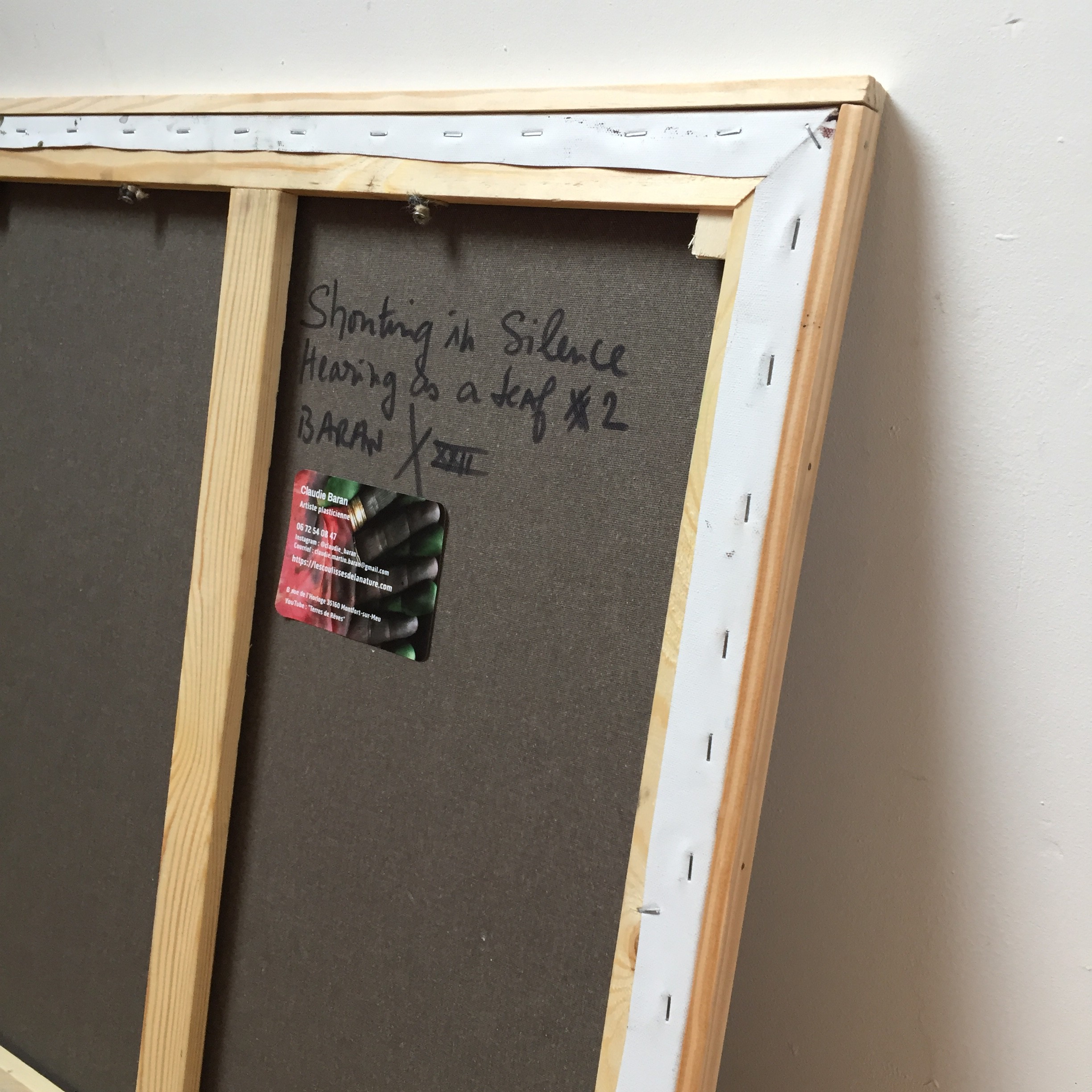 Shouting In Silence Hearing as a Deaf