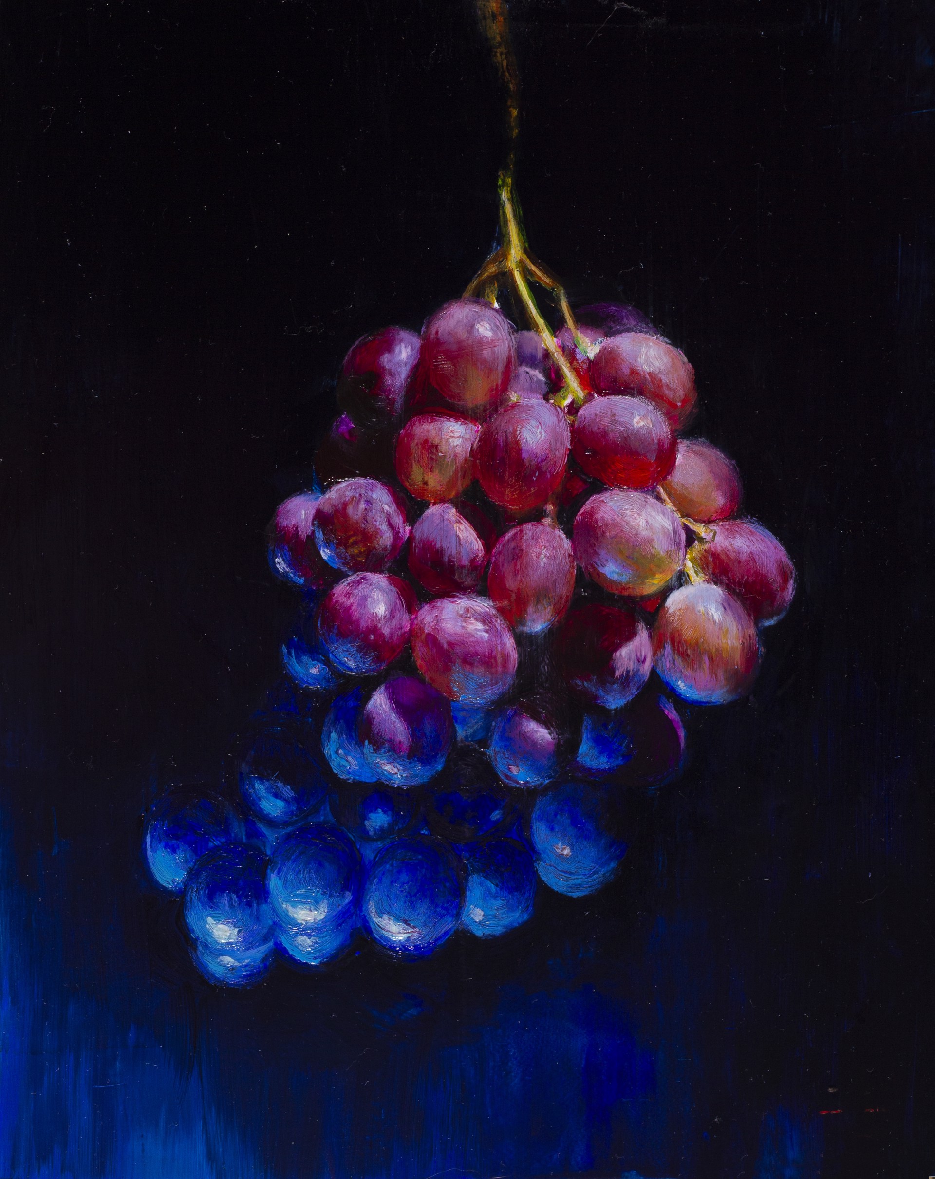 A hyper-realistic painting of a grape cluster suspended in deep shadow.