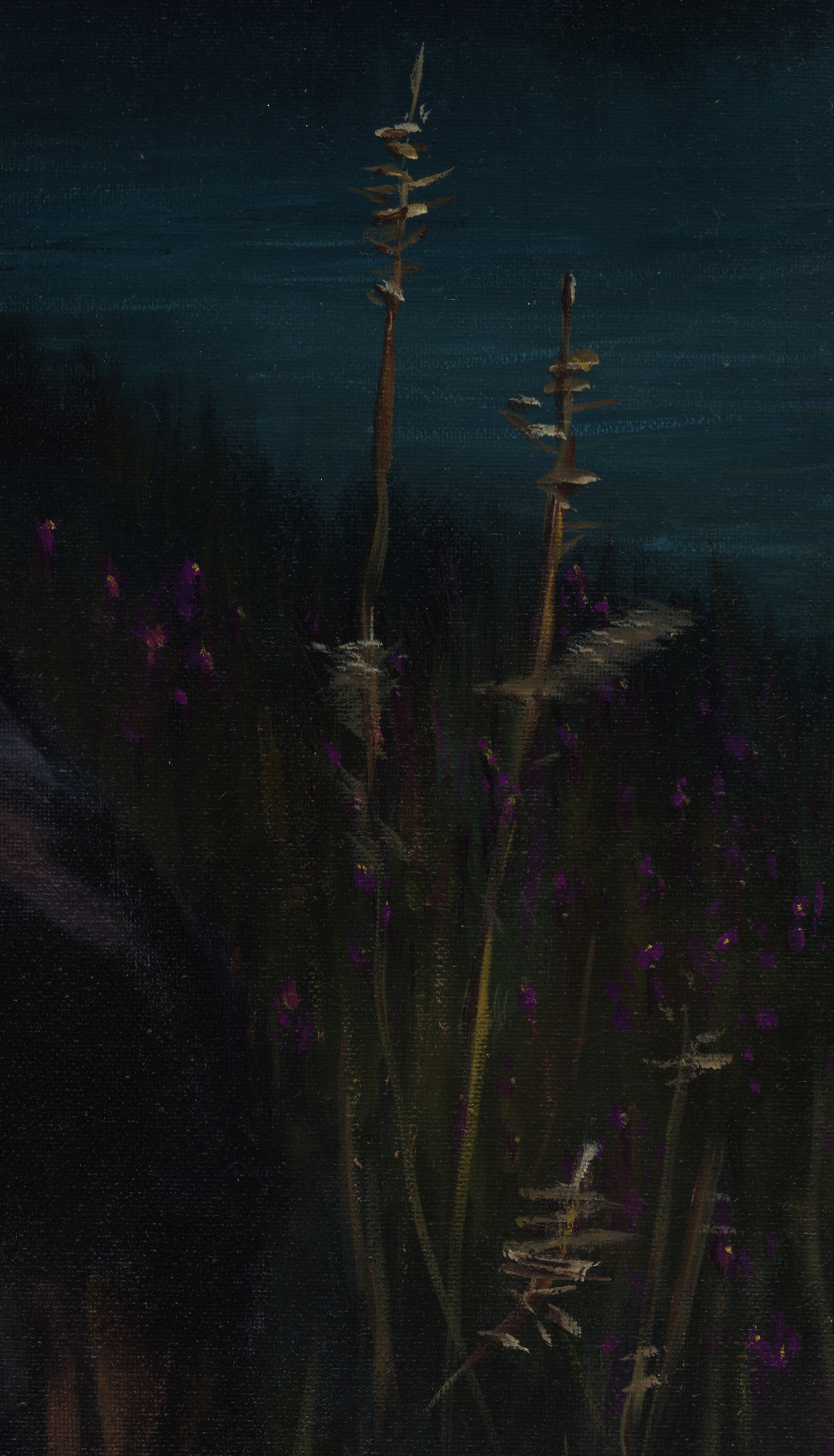 A portrait of a figure holding a mandolin against a dark, moonlit night sky.