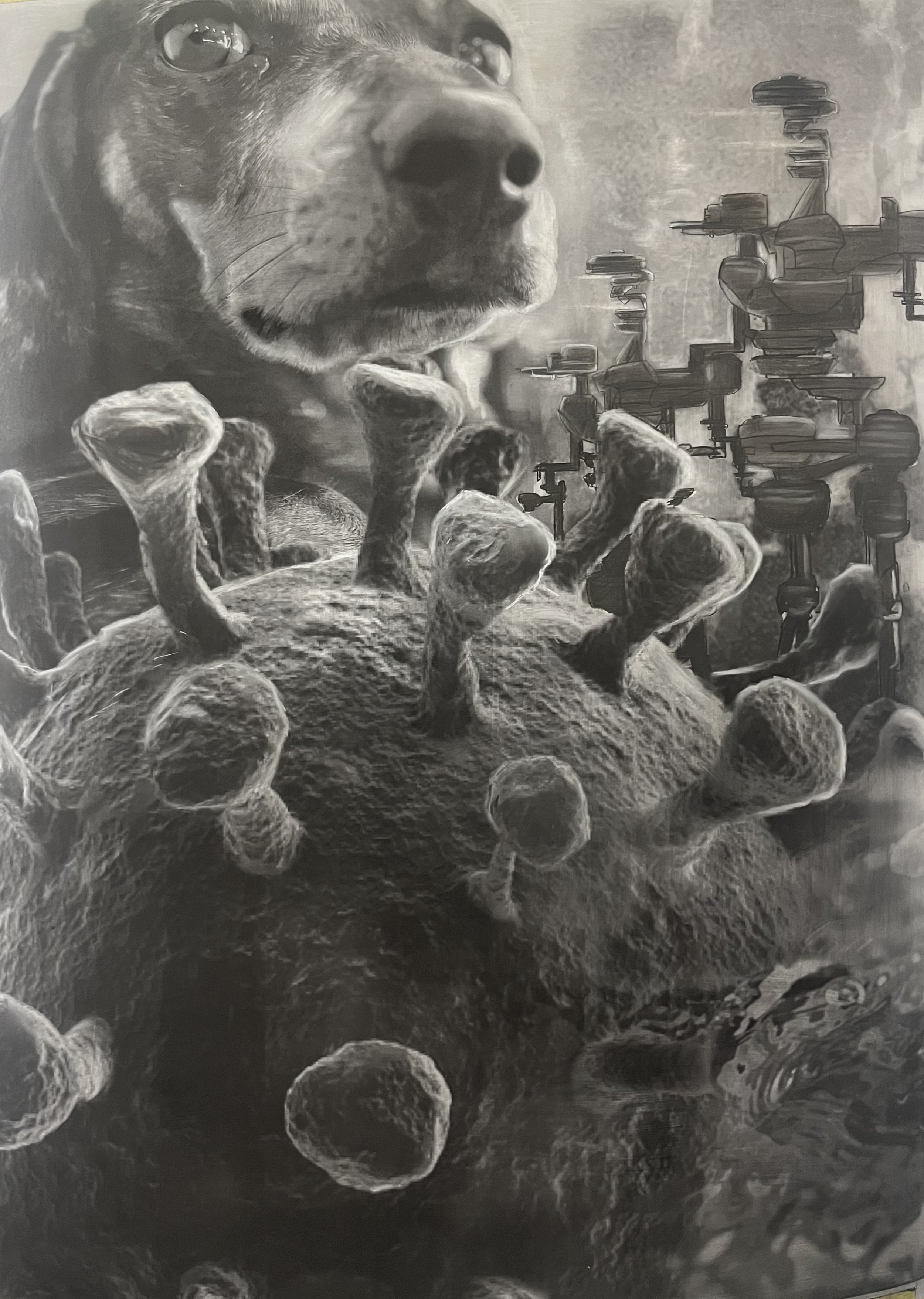 Artwork by Damian Rayne