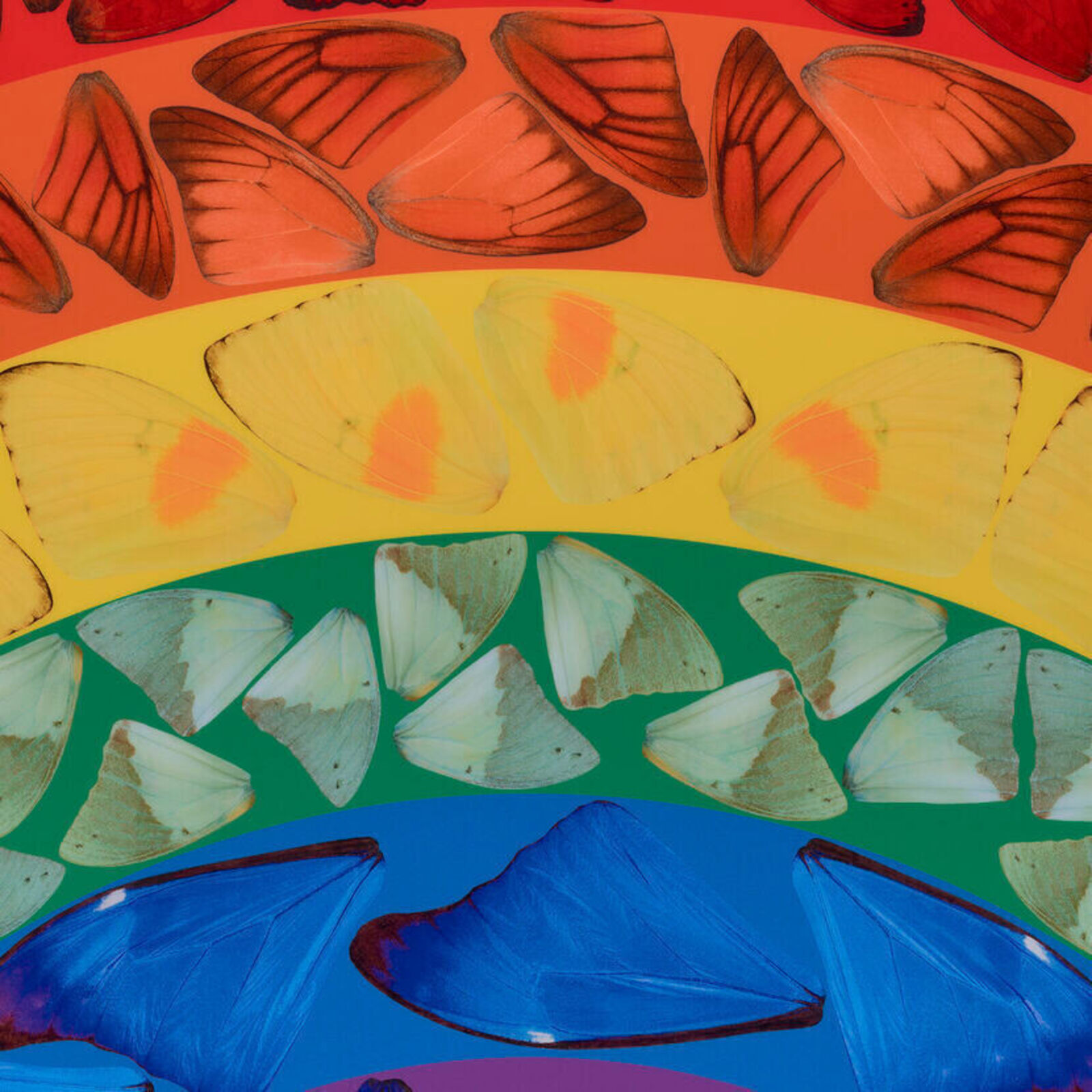Artwork by Damien Hirst, Butterfly Rainbow (Large), Made of Laminated Giclée print on aluminum composite panel 