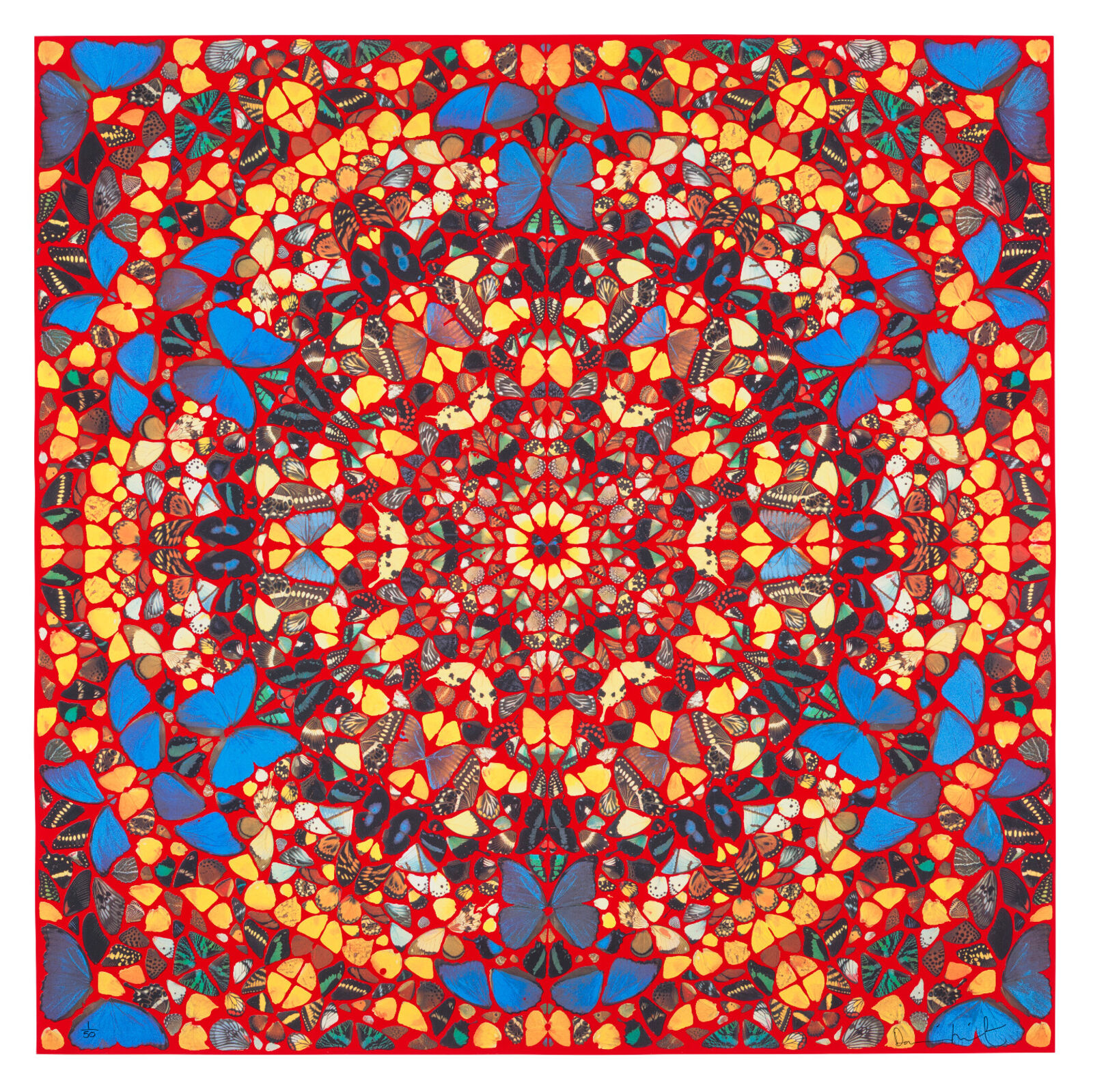 A red and blue pattern of butterflies on a red background.