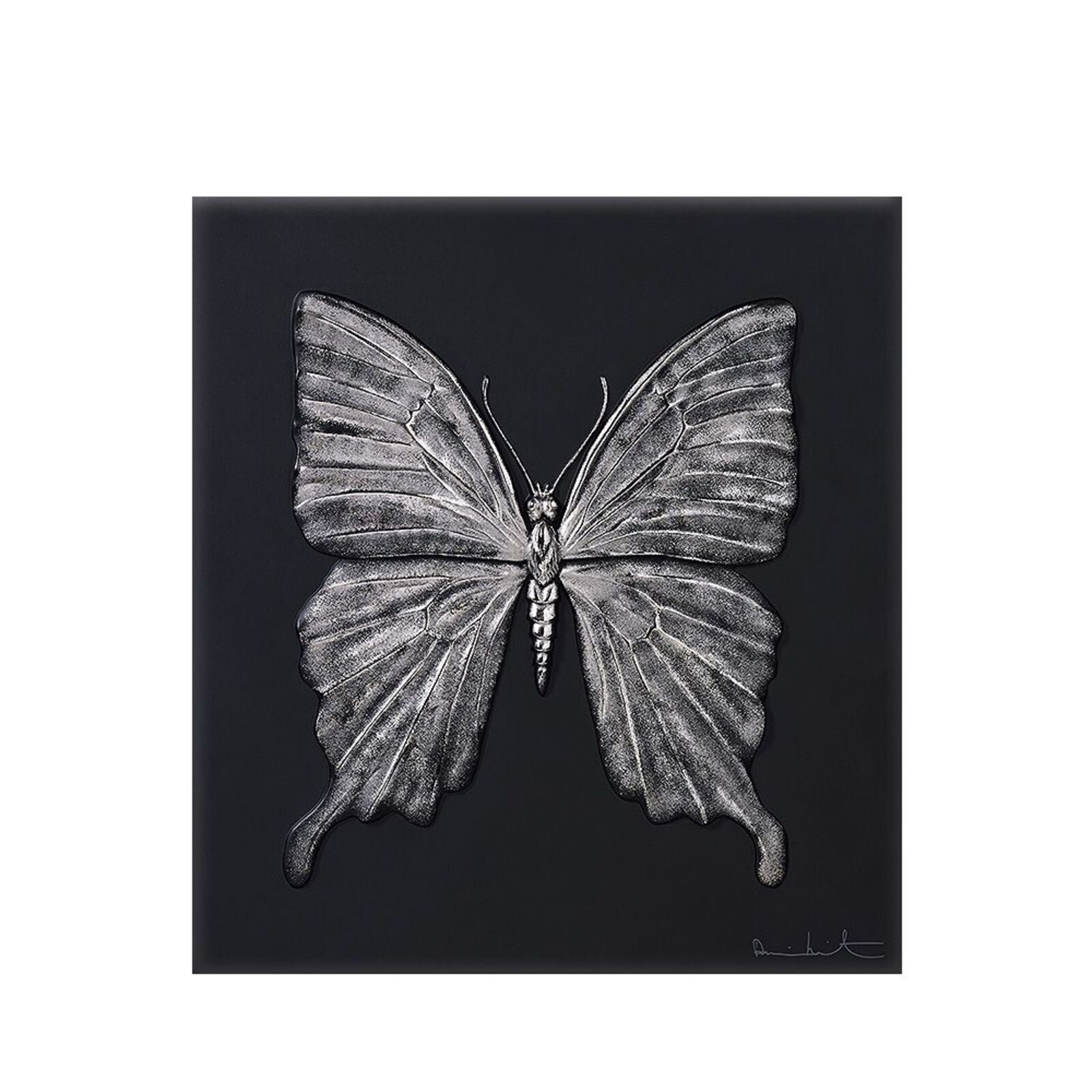 A black and white drawing of a butterfly on a black background.