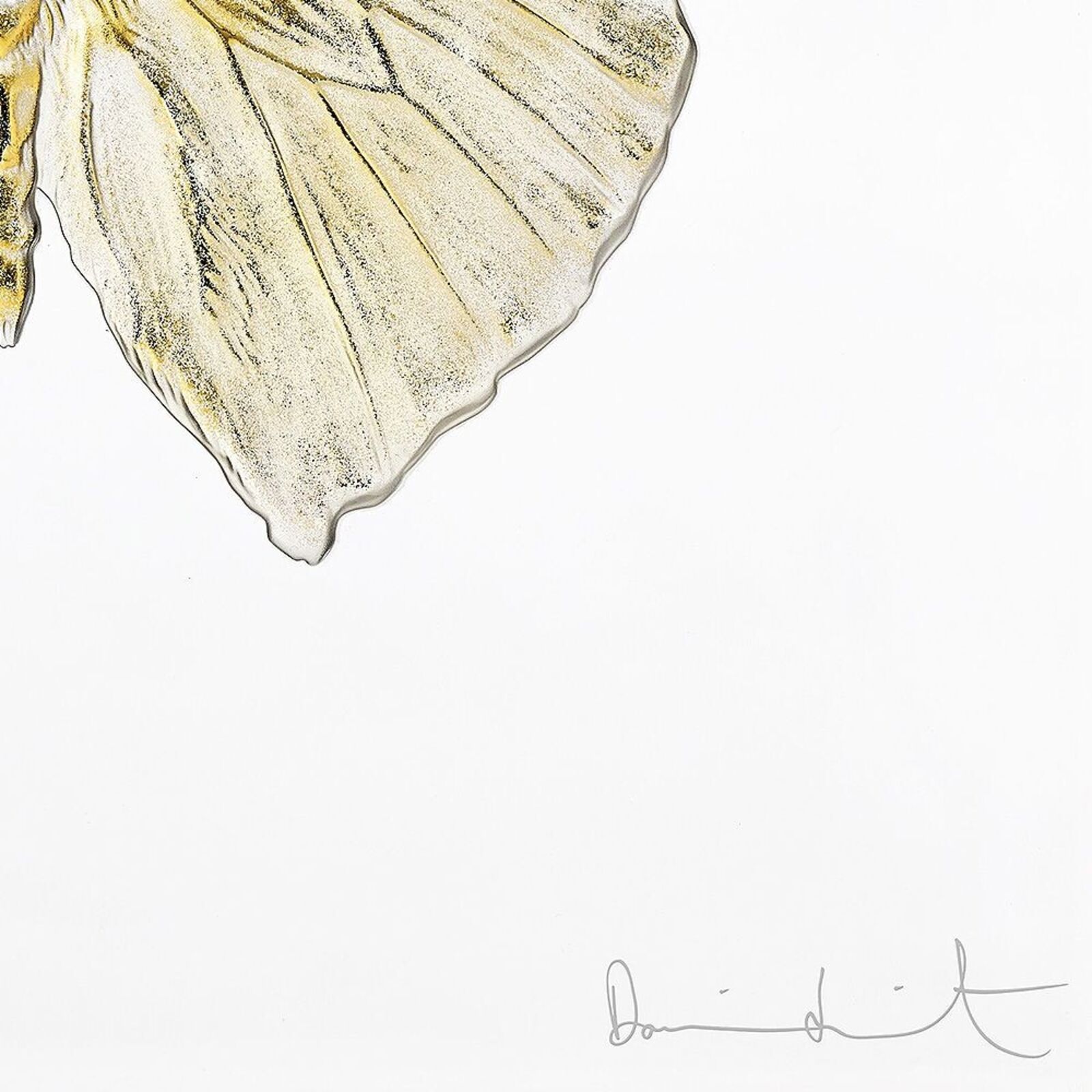 A drawing of a yellow butterfly on a white background.