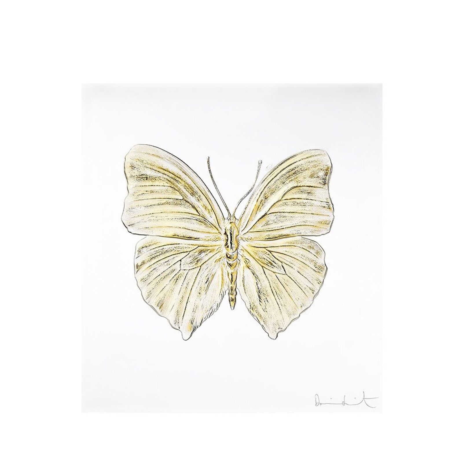 A drawing of a yellow butterfly on a white background.