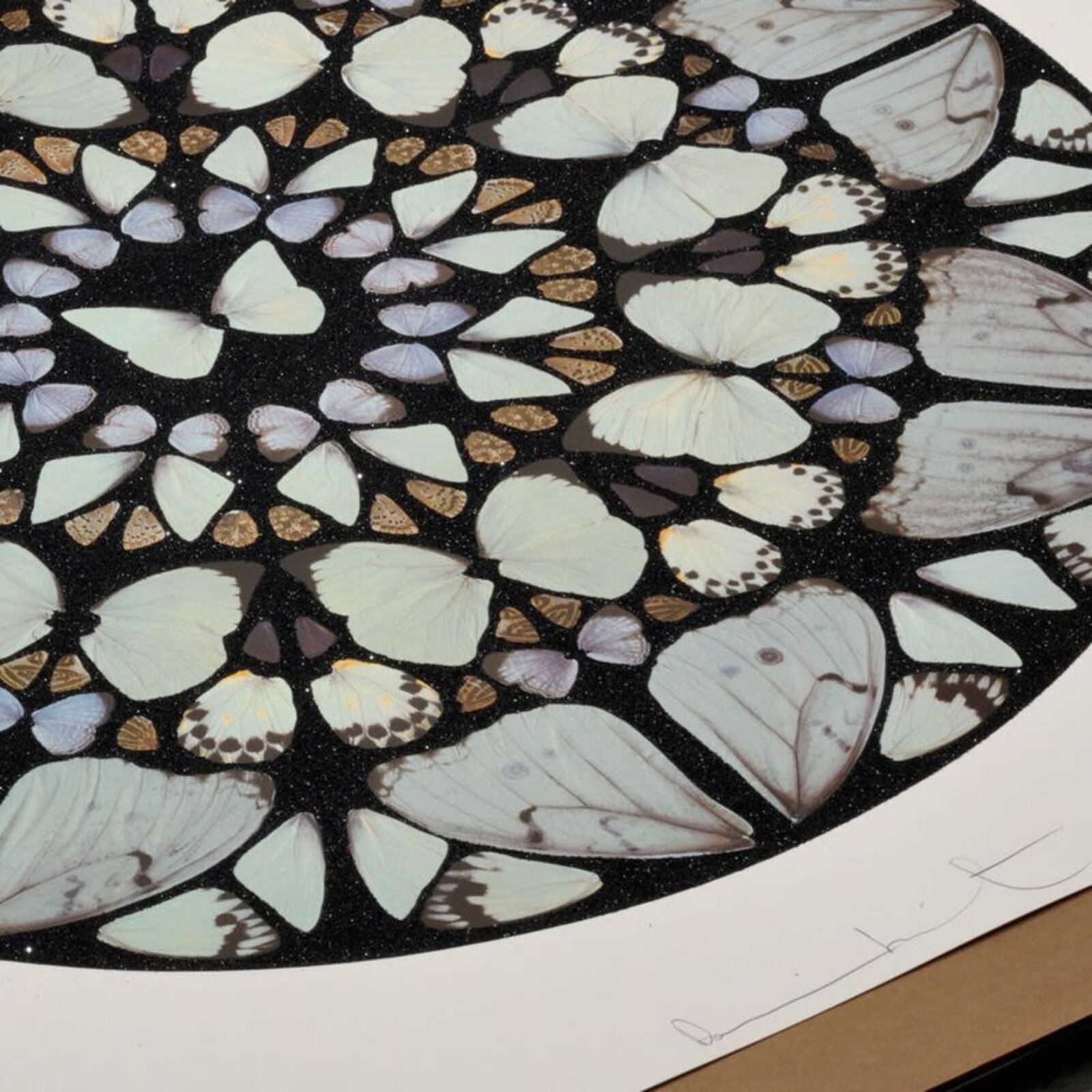 A picture of a circular pattern of butterflies on a white wall.