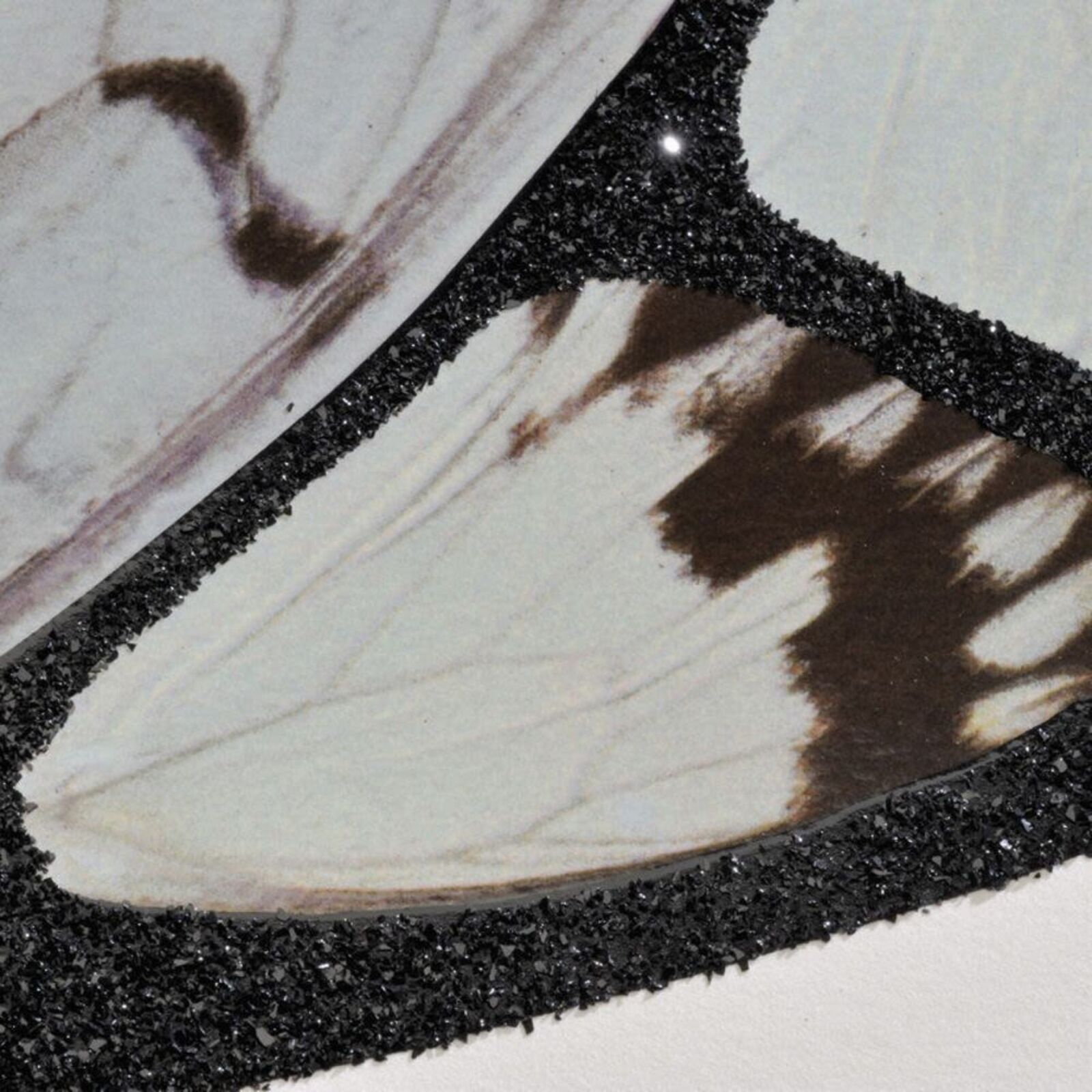 A picture of a circular pattern of butterflies on a white wall.