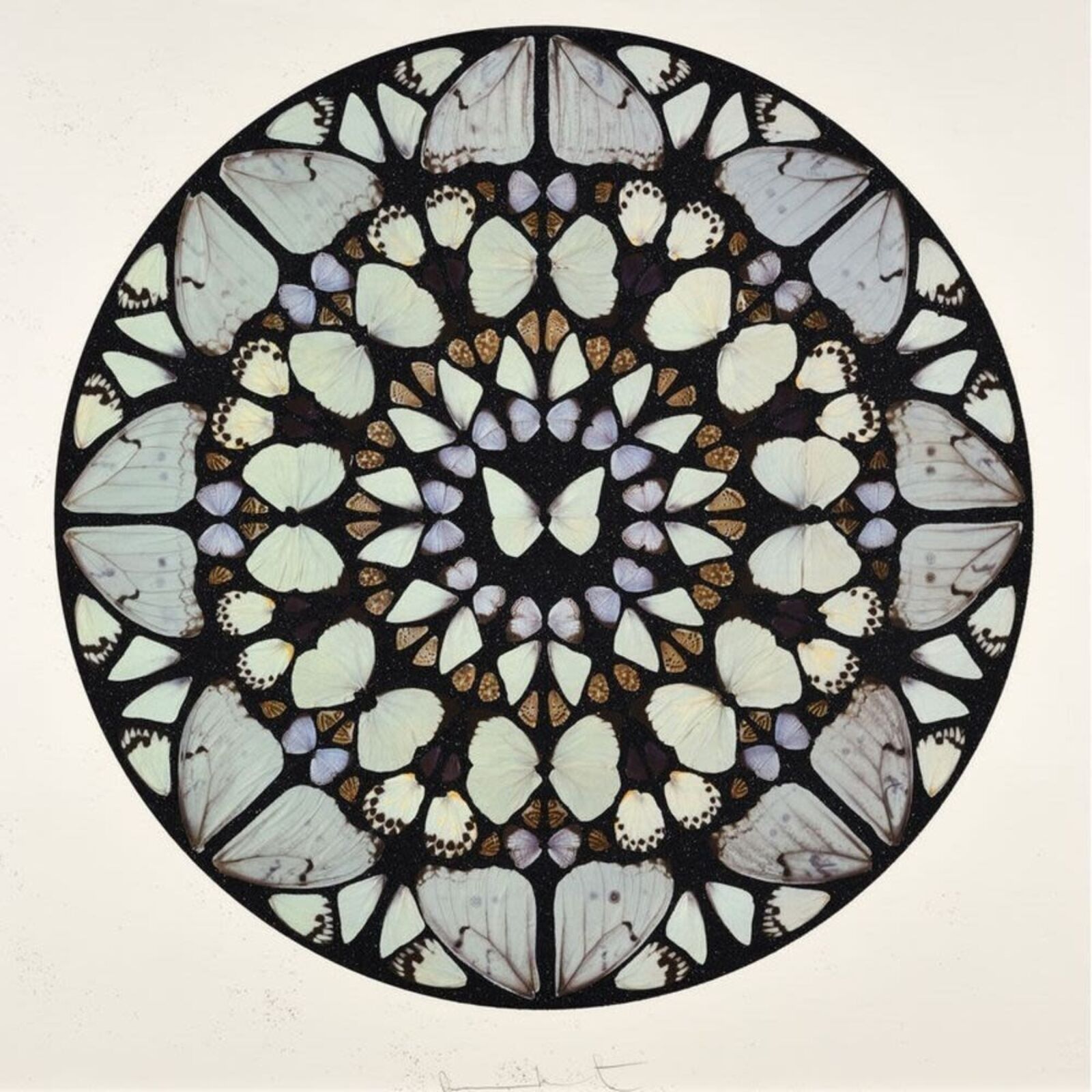 A picture of a circular pattern of butterflies on a white wall.