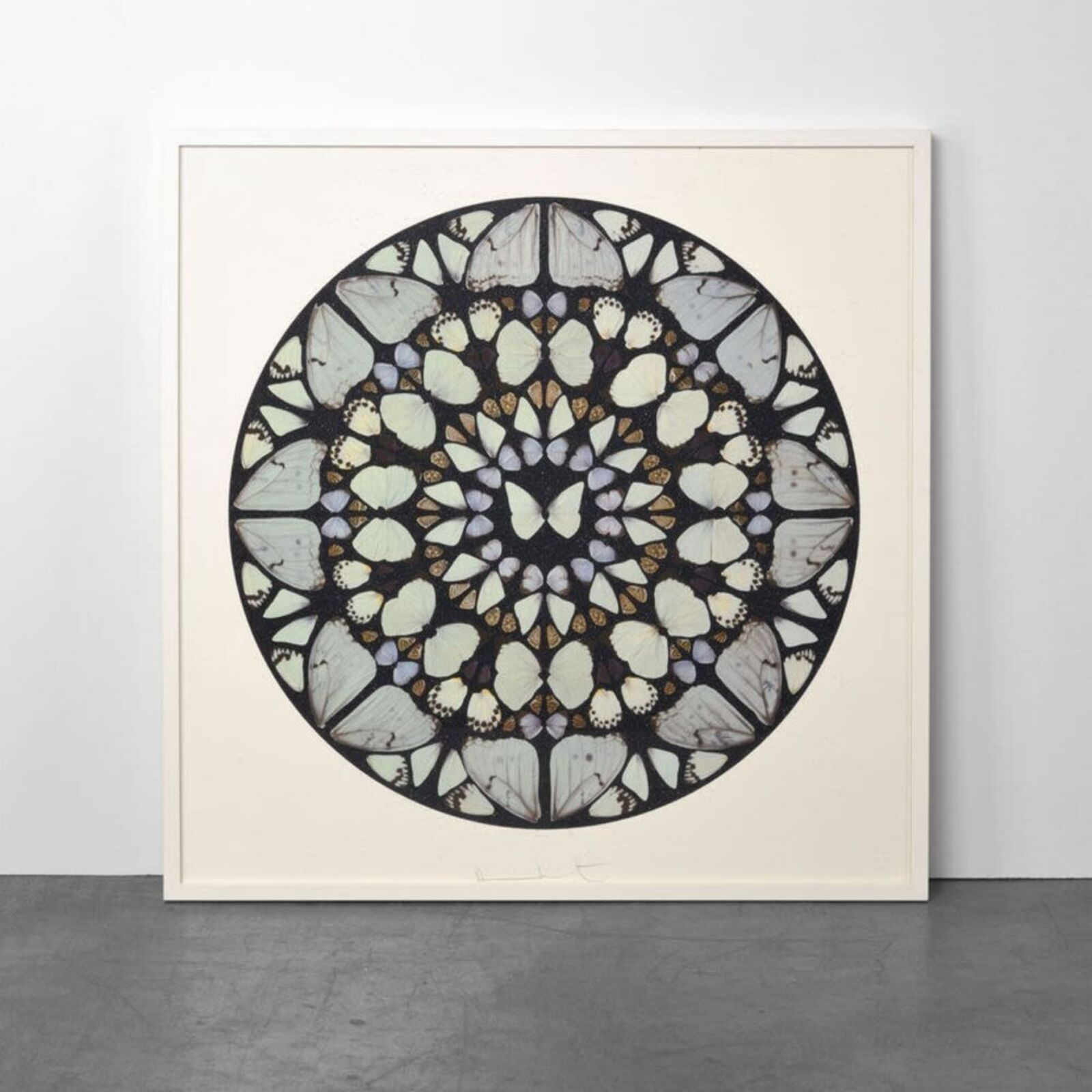 A picture of a circular pattern of butterflies on a white wall.