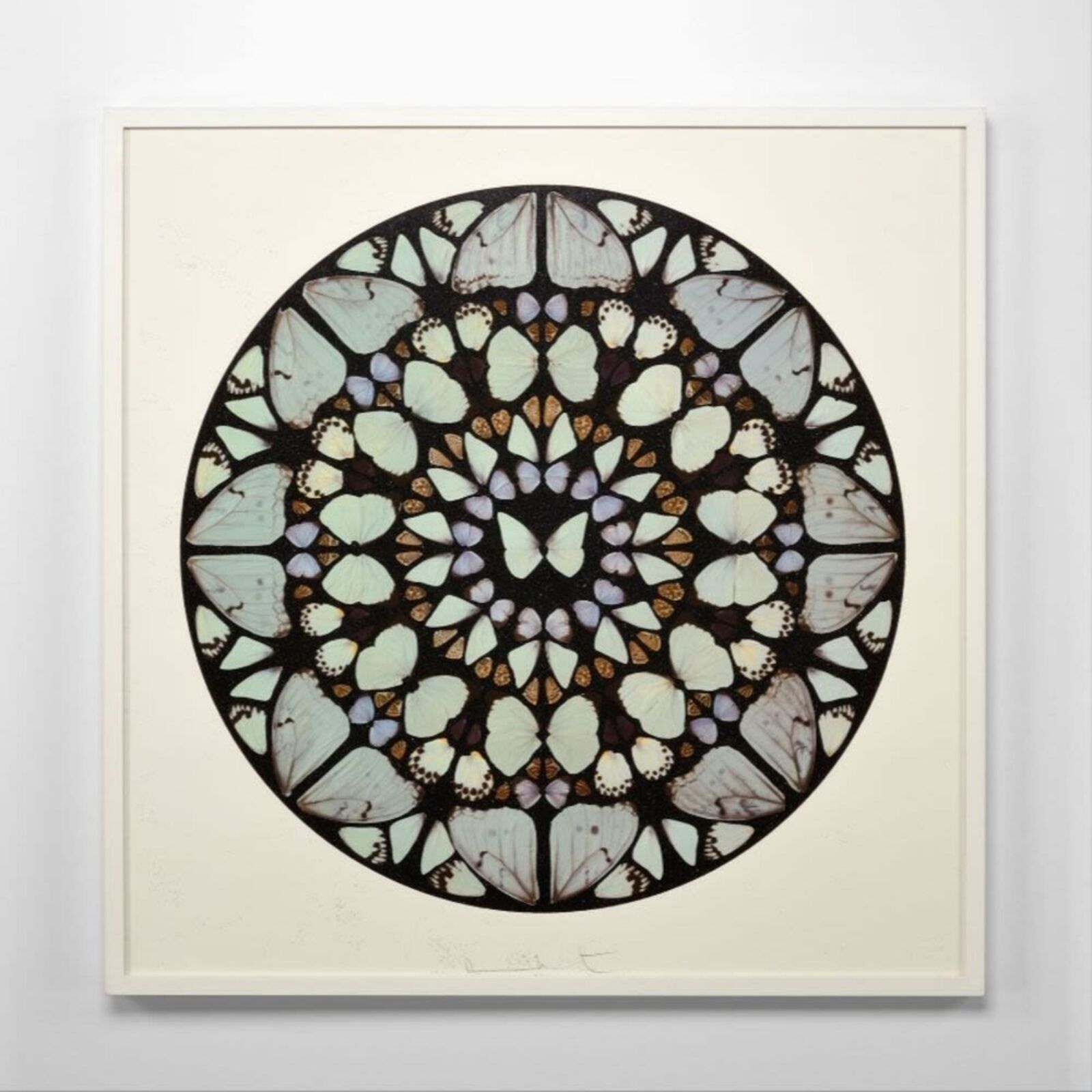 A picture of a circular pattern of butterflies on a white wall.