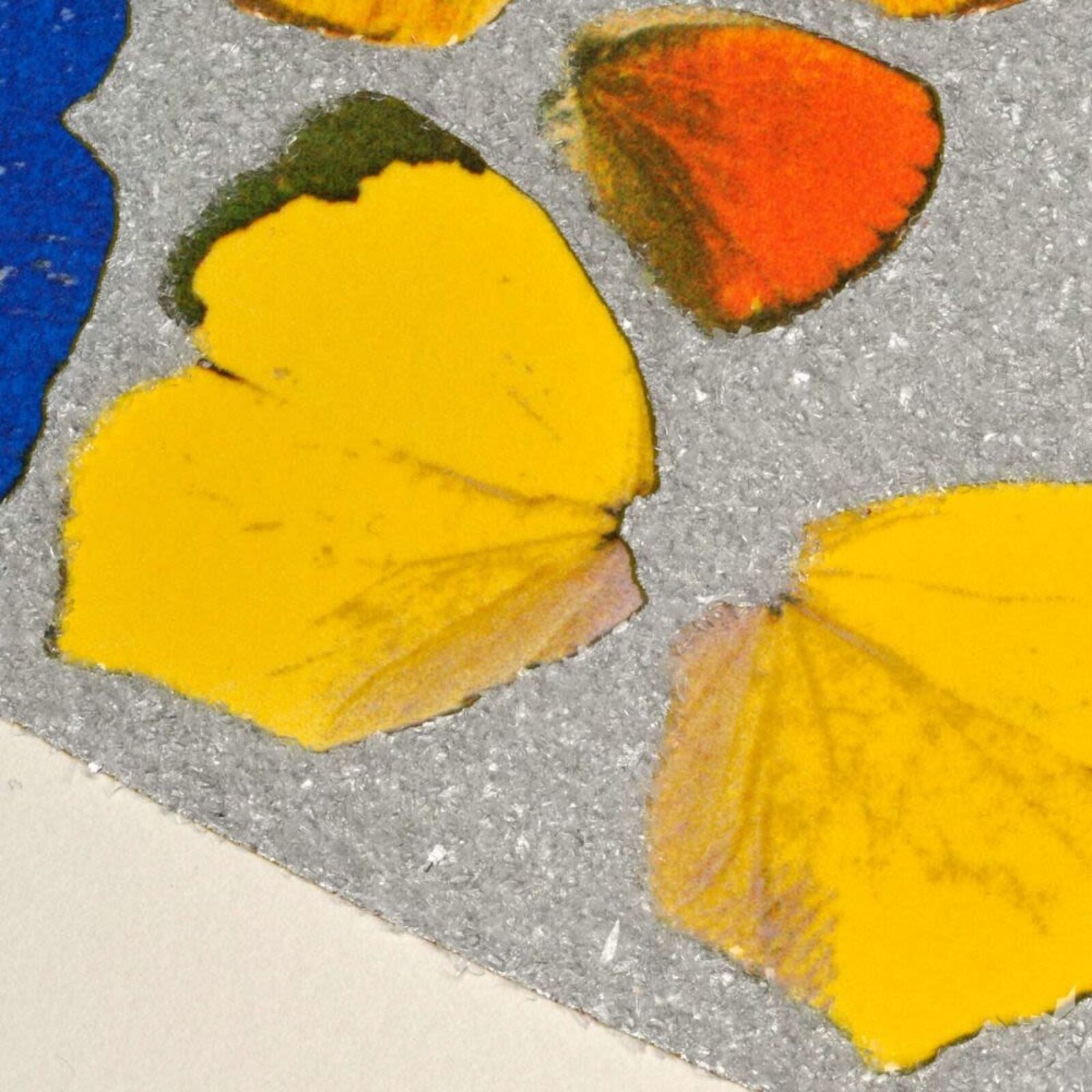 A blue and yellow mandala on a white wall in a room.
