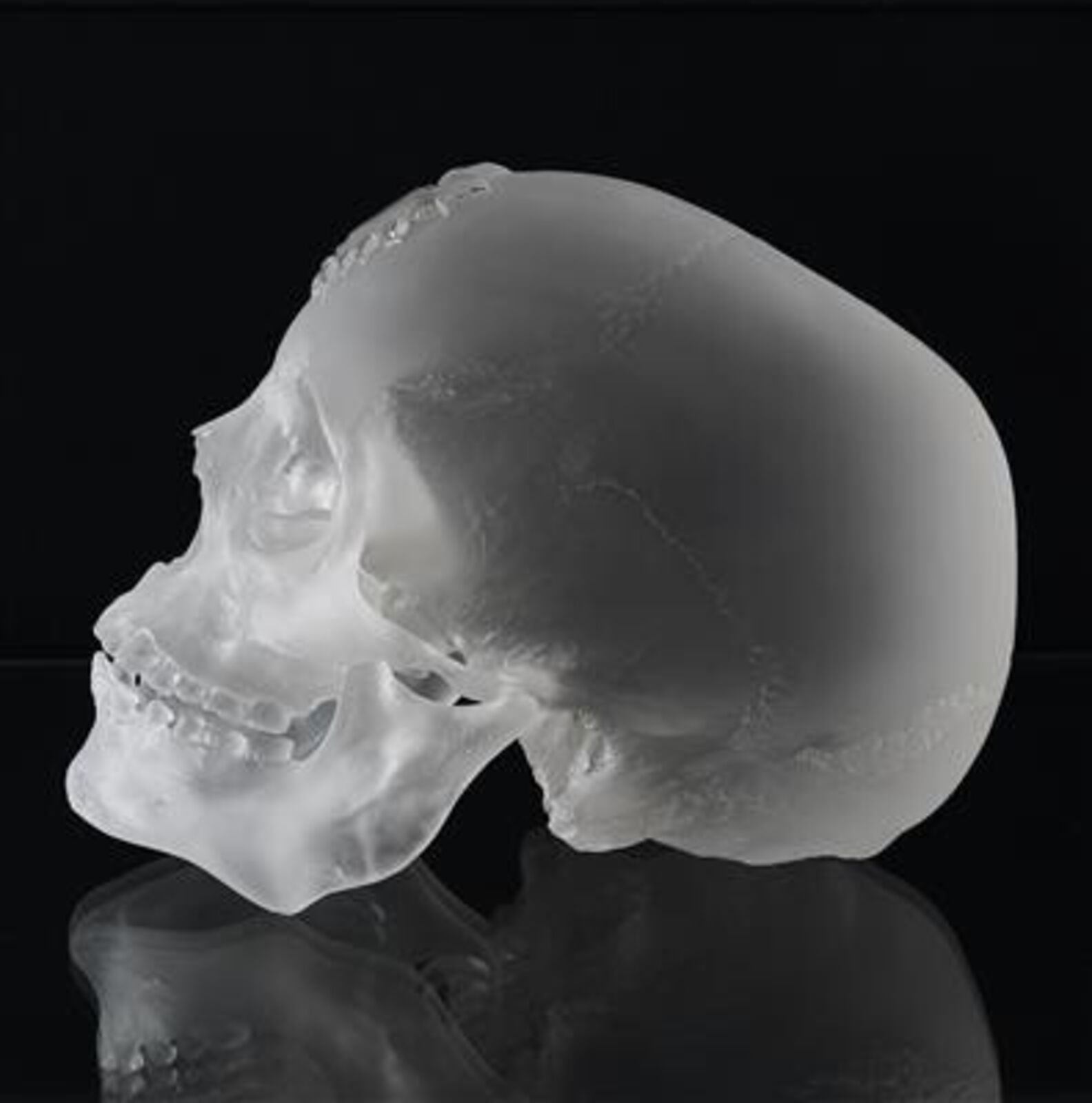 A clear glass skull on a white pedestal with a black background.