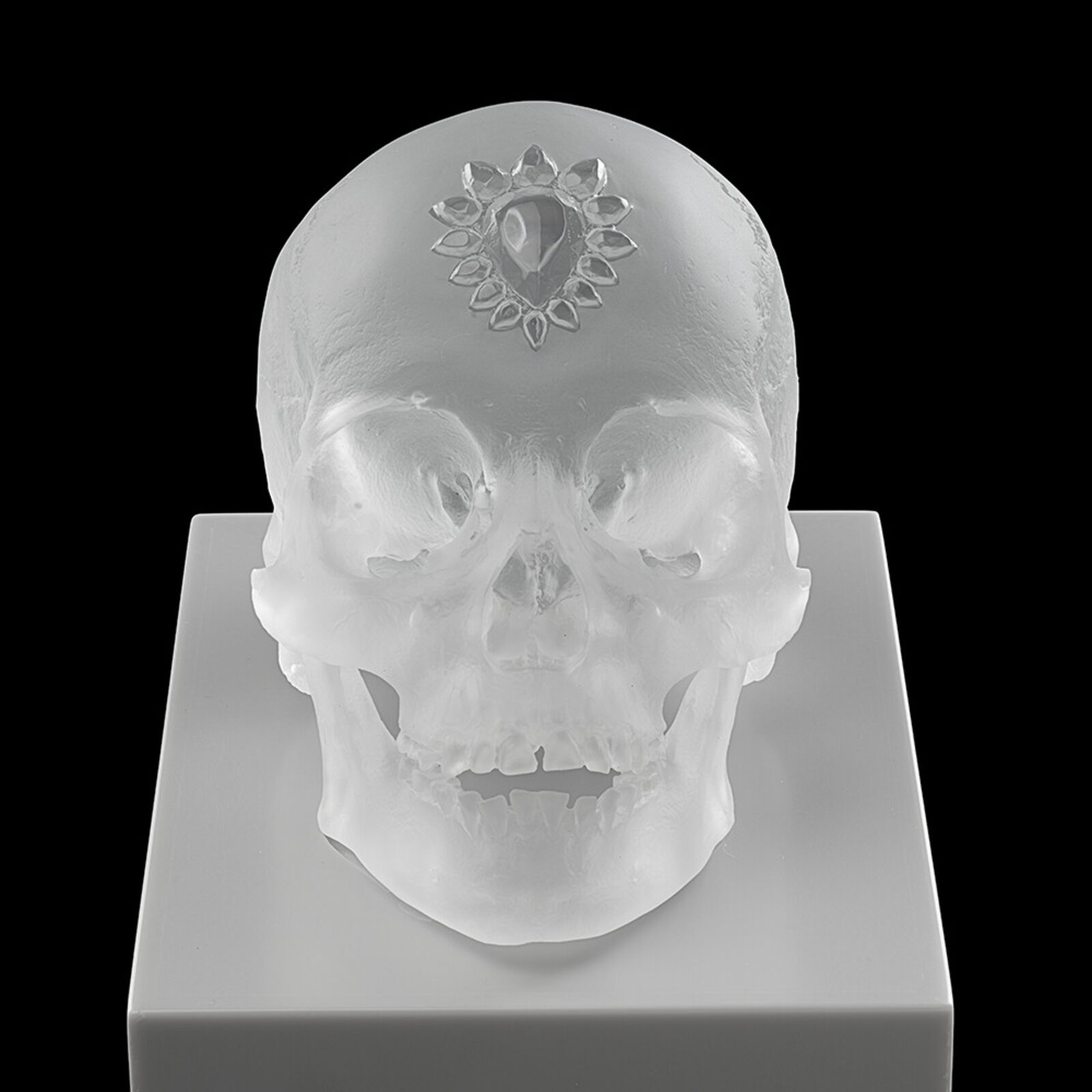 A clear glass skull on a white pedestal with a black background.