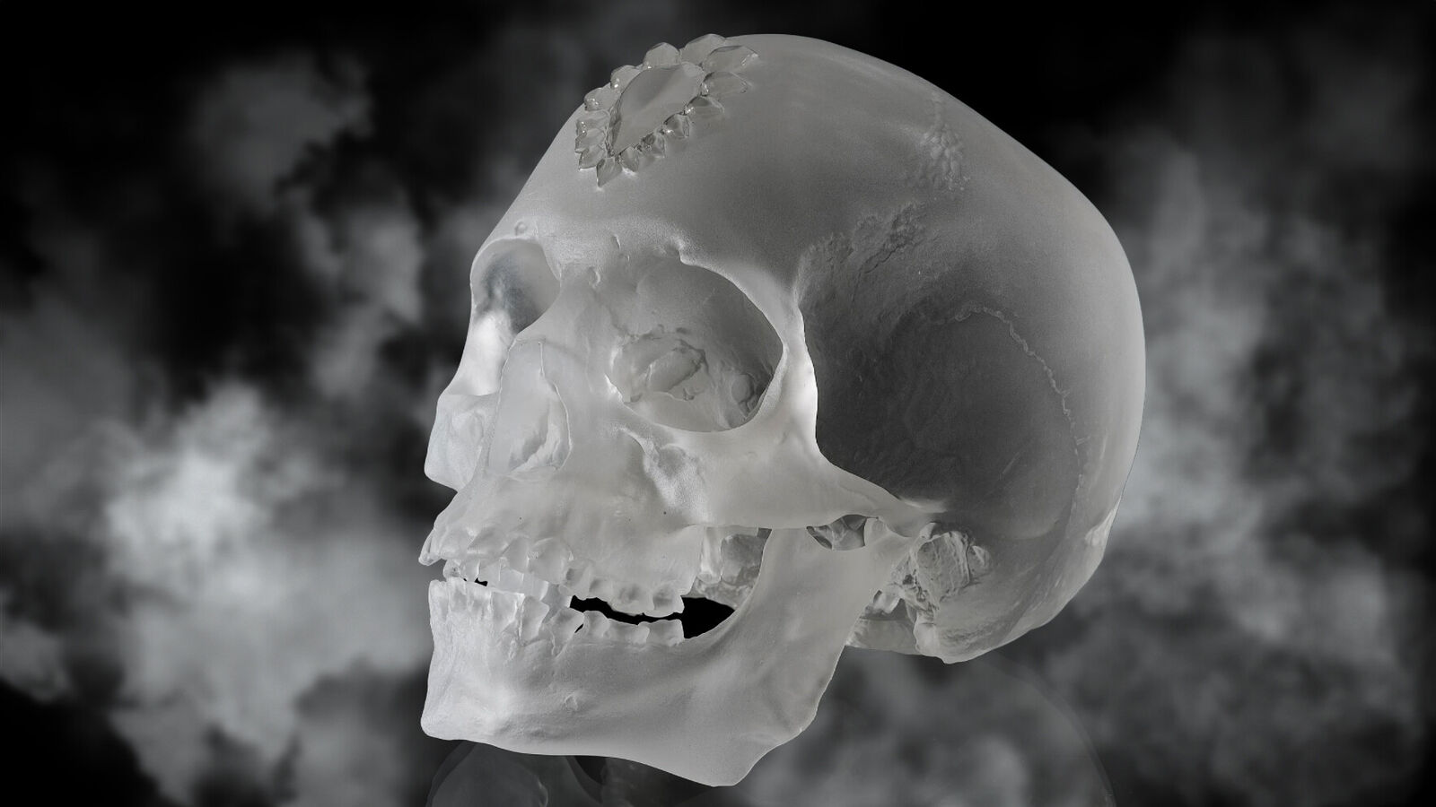 A clear glass skull on a white pedestal with a black background.