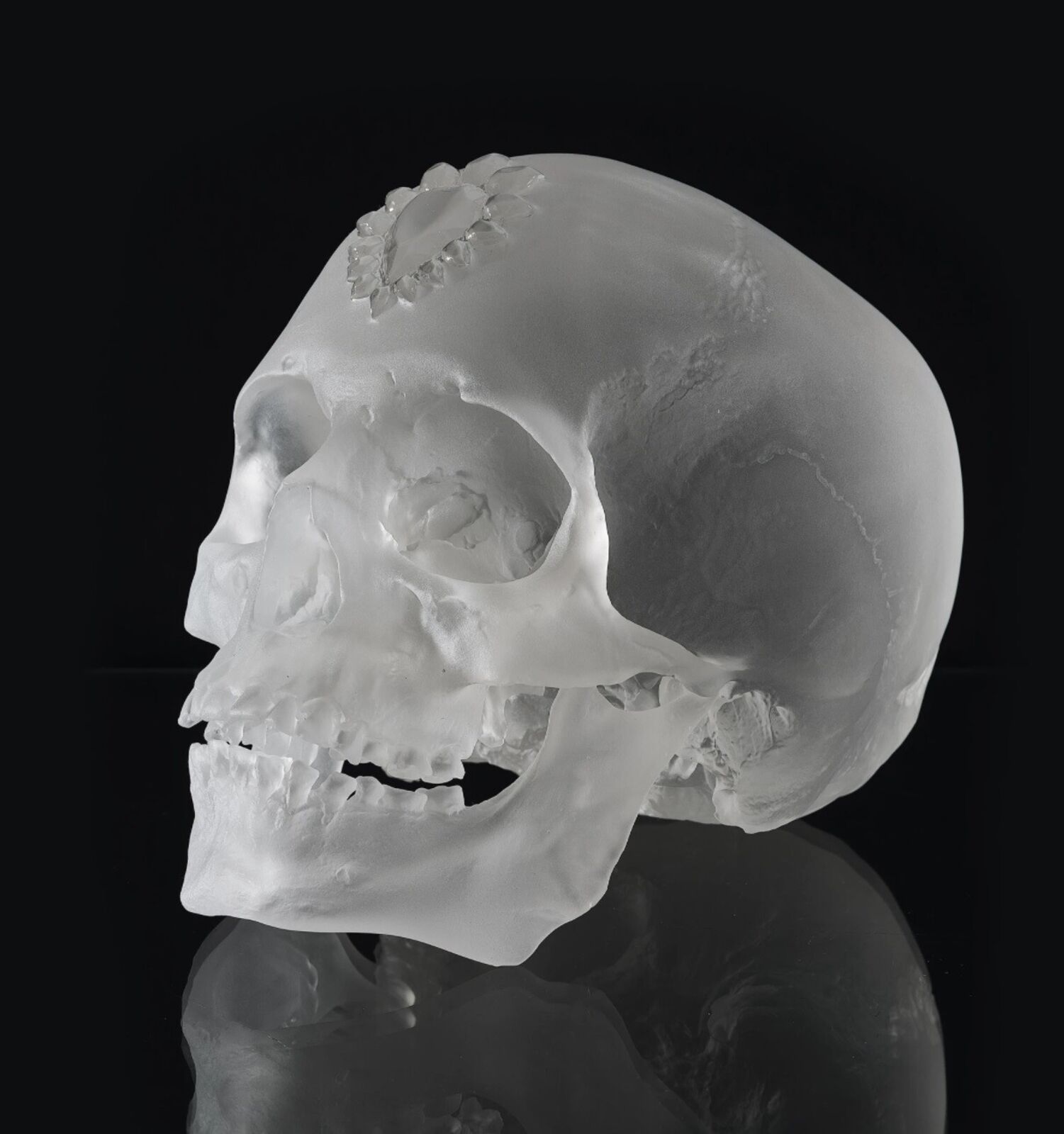 A clear glass skull on a white pedestal with a black background.