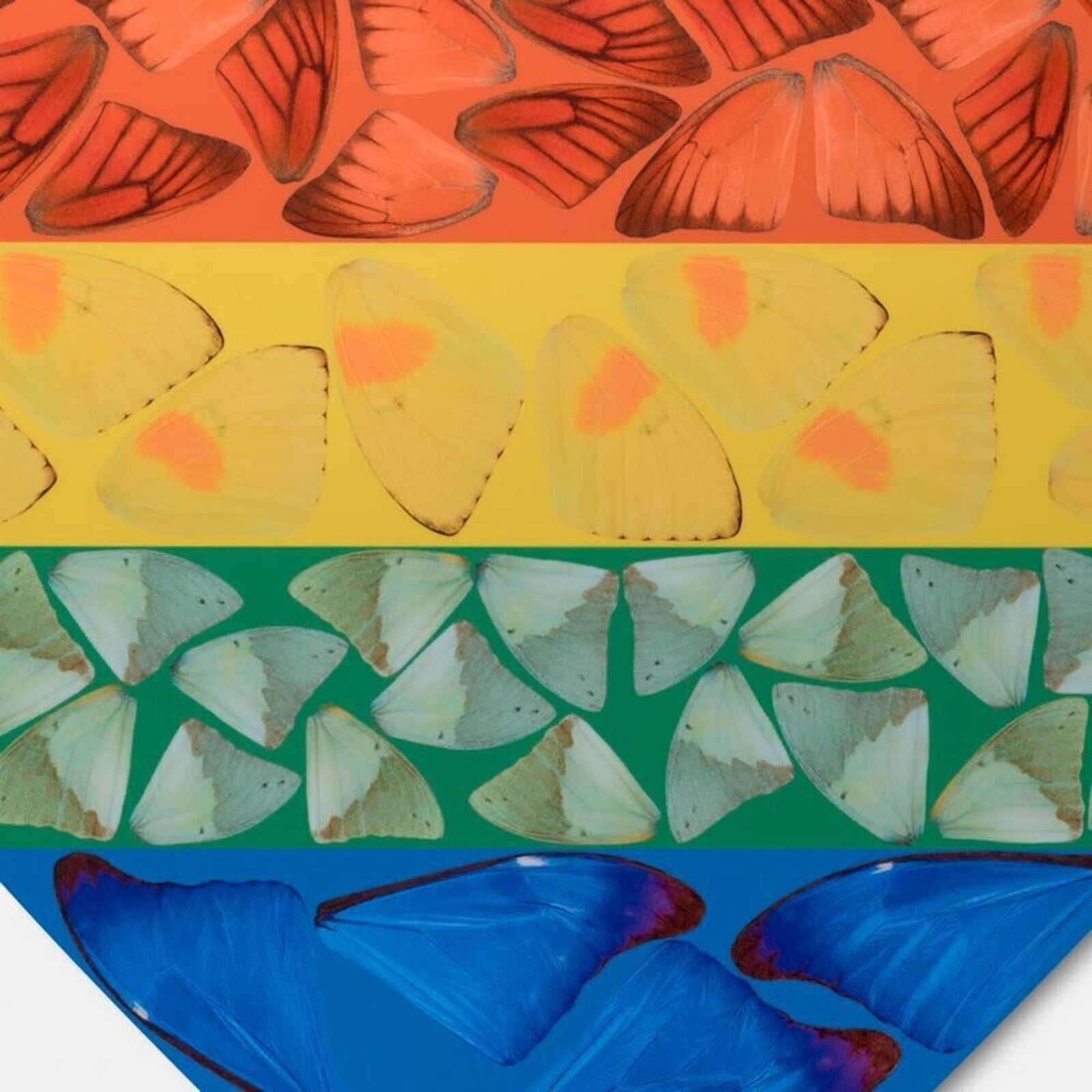 Artwork by Damien Hirst, Butterfly Heart (Small), Made of Laminated Giclée print on aluminum composite panel 
