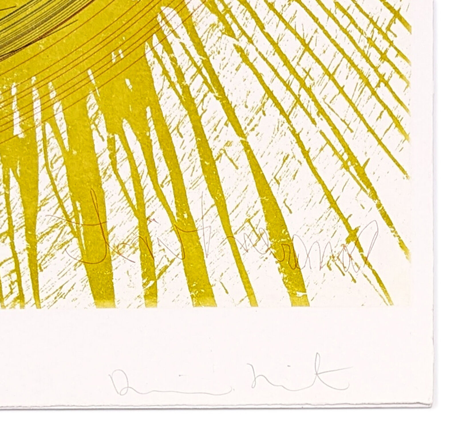 Artwork by Damien Hirst, Throw it Around (Large Framed Etching), Made of Etching 