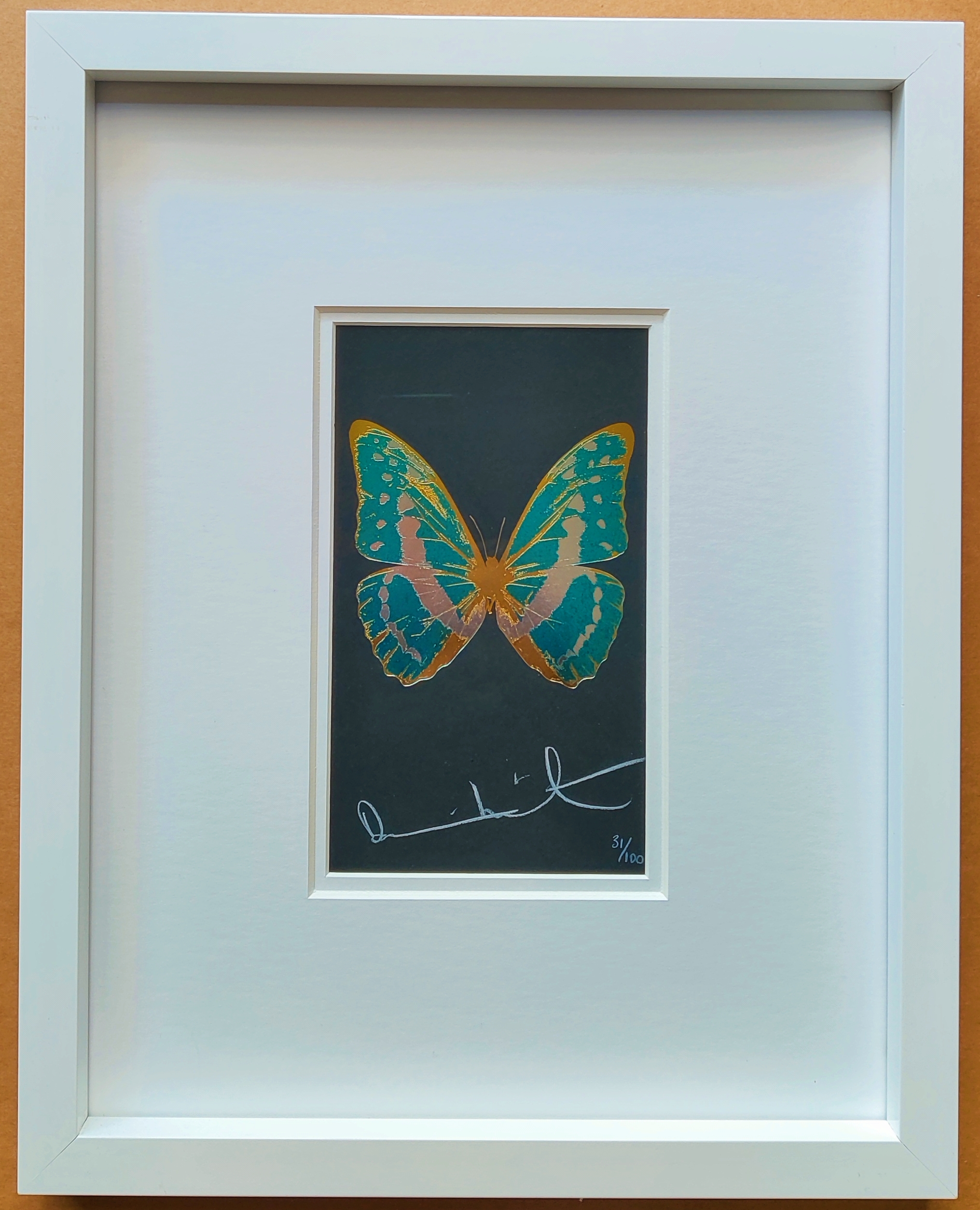 A framed picture of a butterfly on a black background.