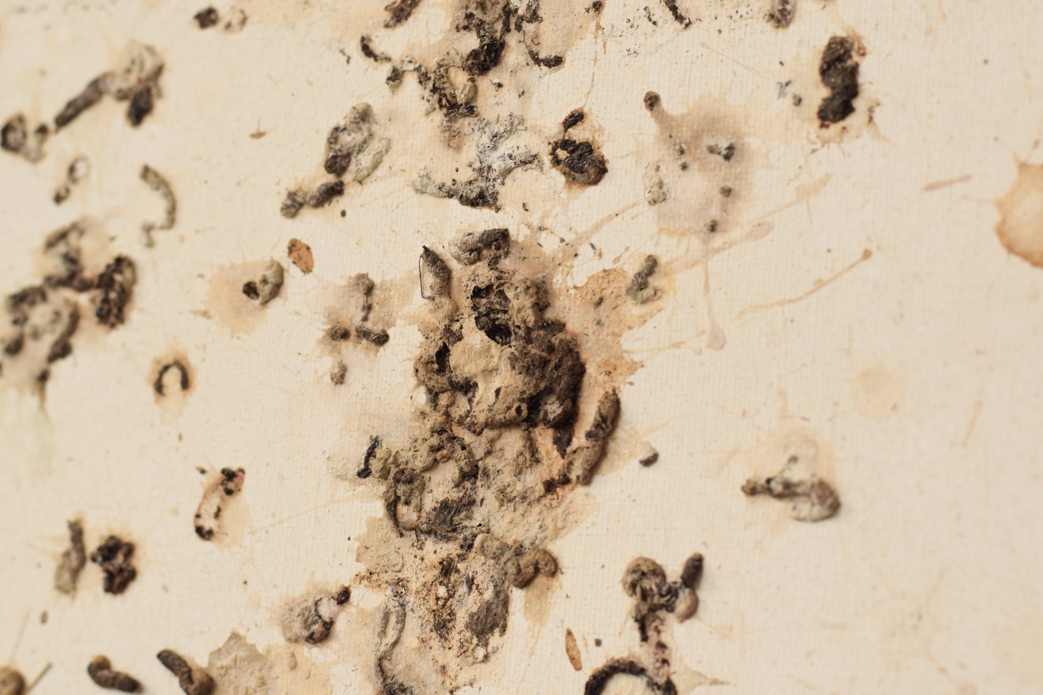 A picture of a book with the words August 2008 written on it.