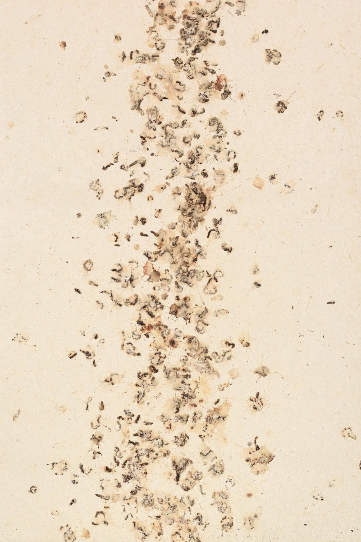 A picture of a book with the words August 2008 written on it.