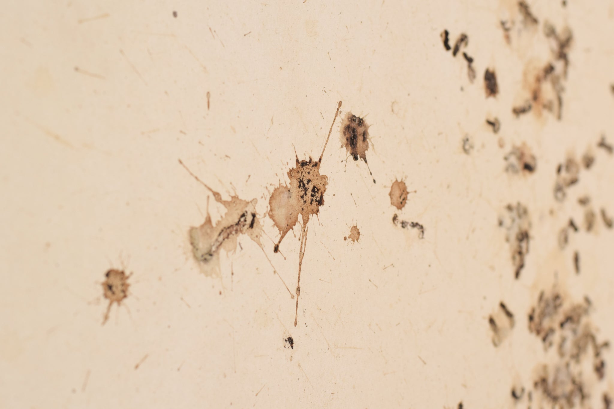 A picture of a book with the words August 2008 written on it.