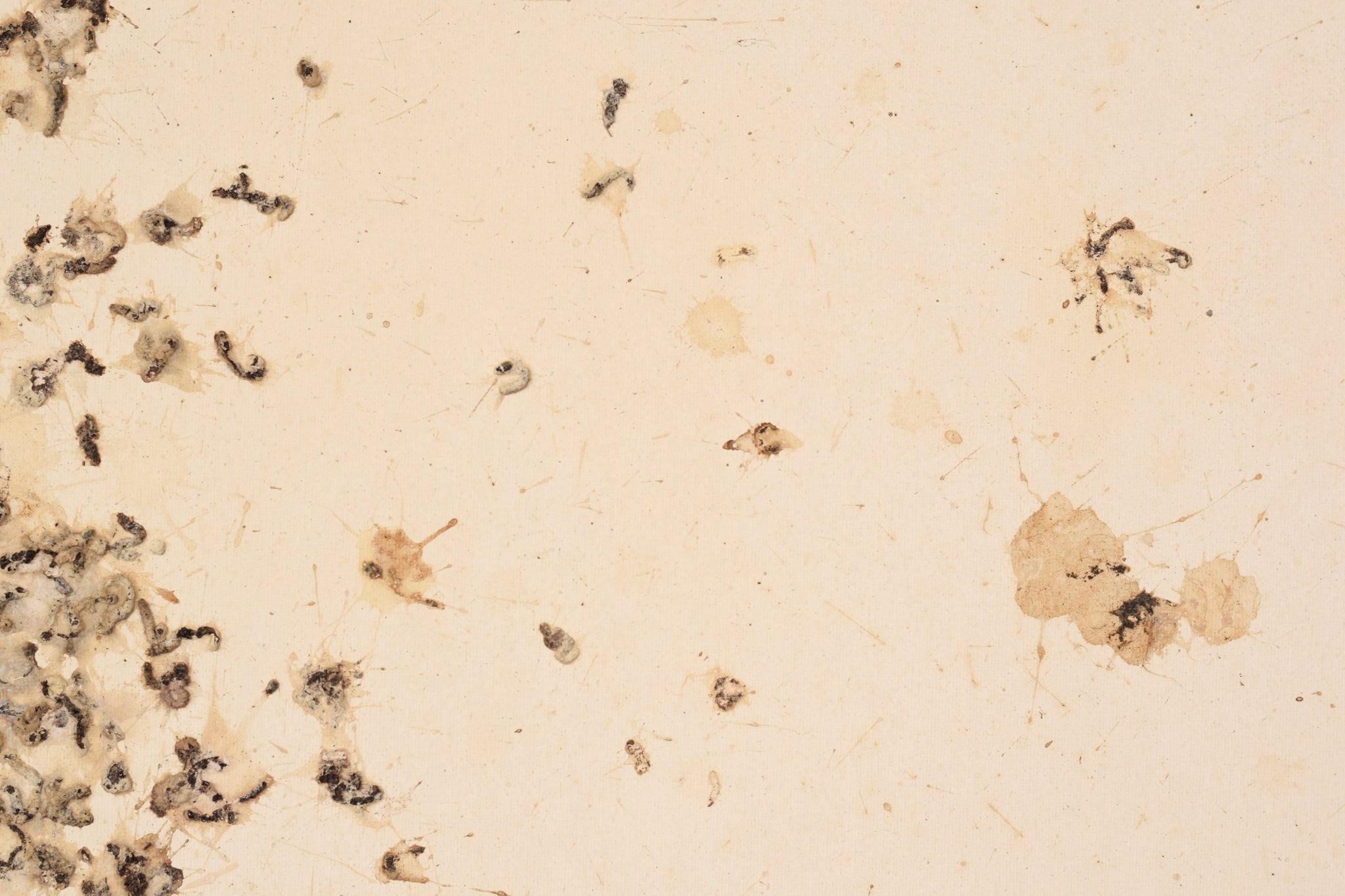 A picture of a book with the words August 2008 written on it.