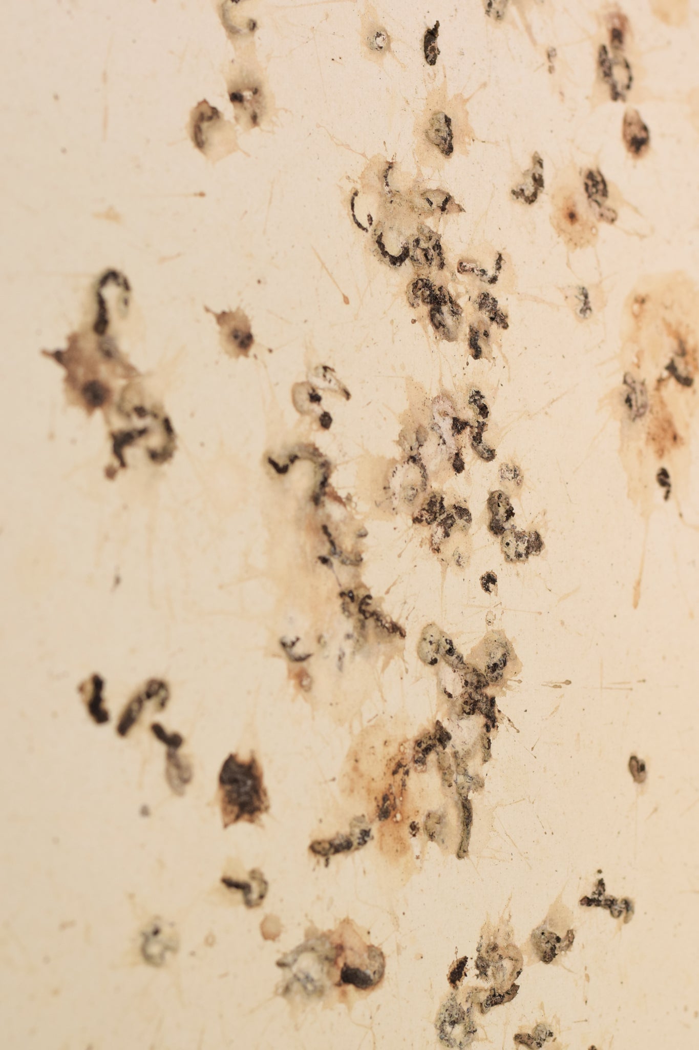 A picture of a book with the words August 2008 written on it.