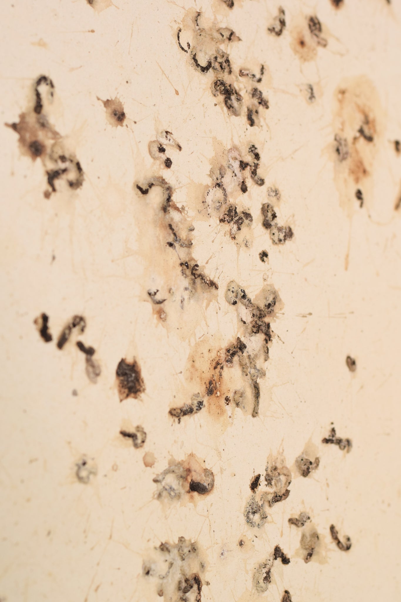 A picture of a book with the words August 2008 written on it.