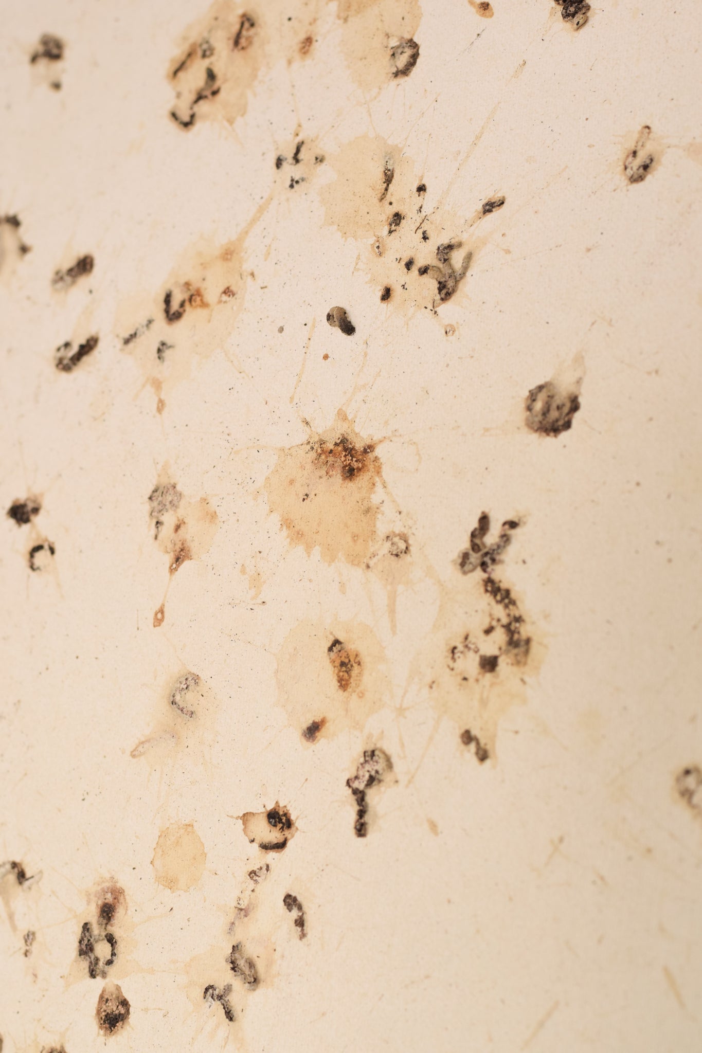 A picture of a book with the words August 2008 written on it.