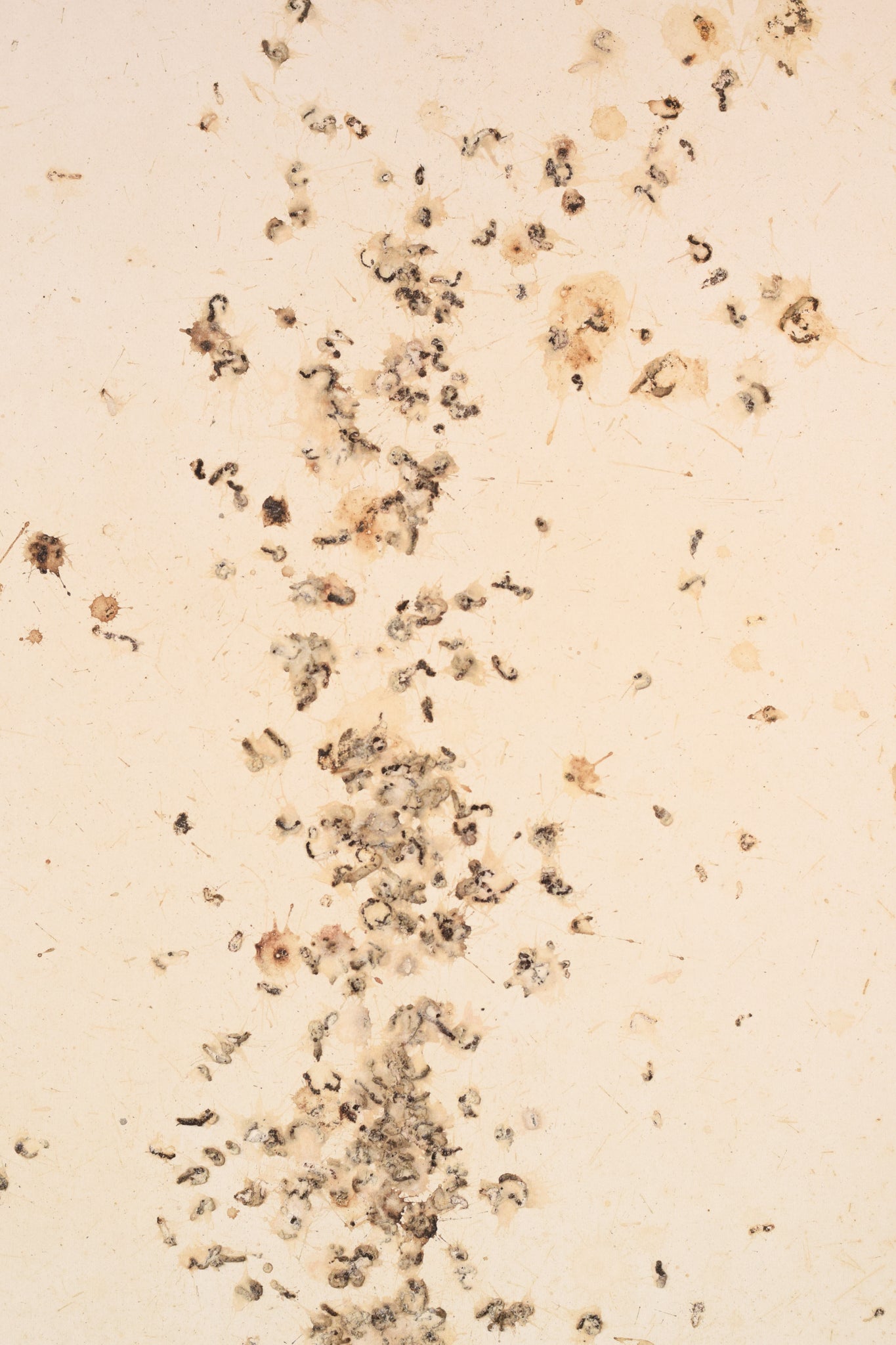 A picture of a book with the words August 2008 written on it.