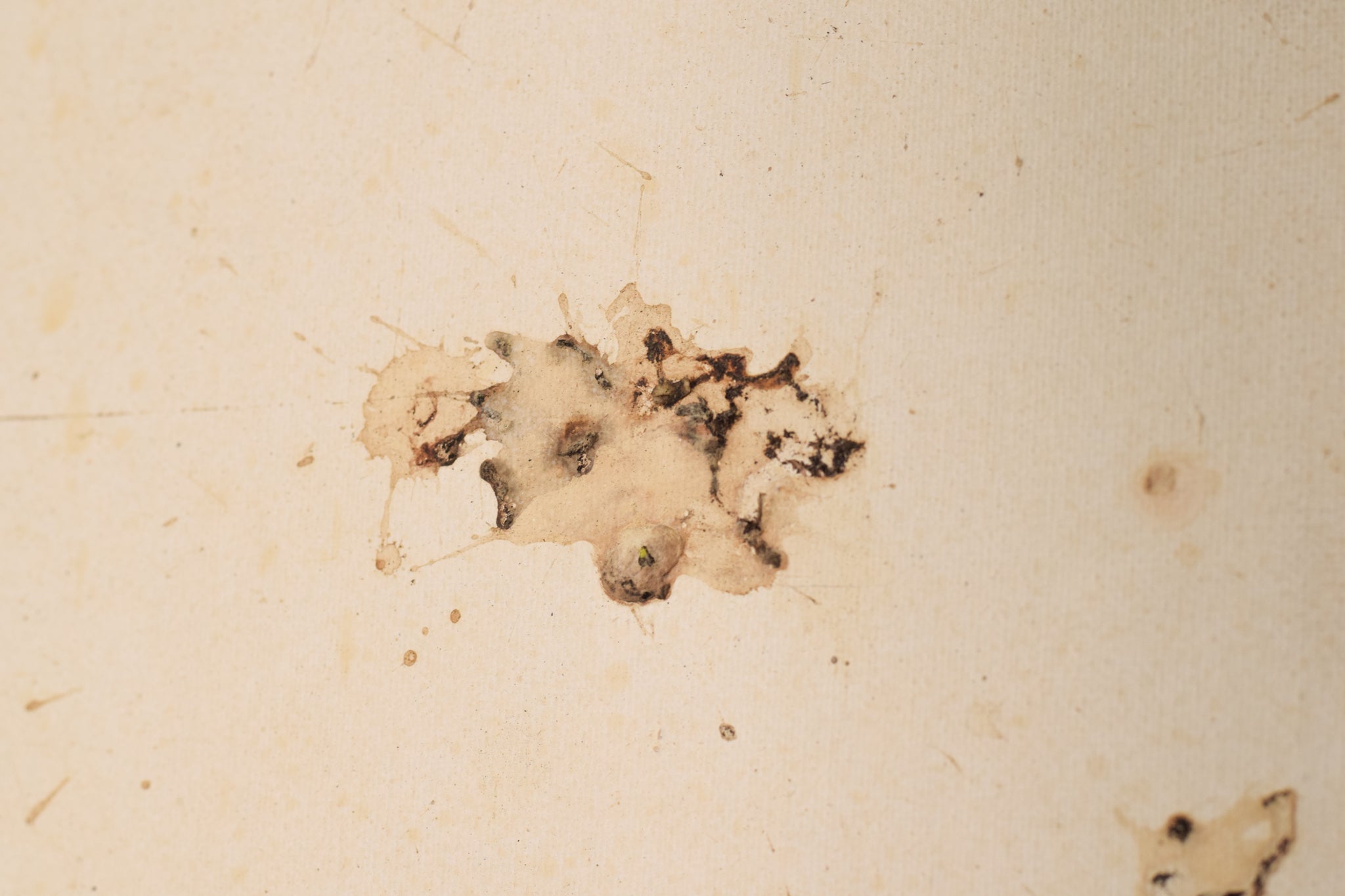 A picture of a book with the words August 2008 written on it.