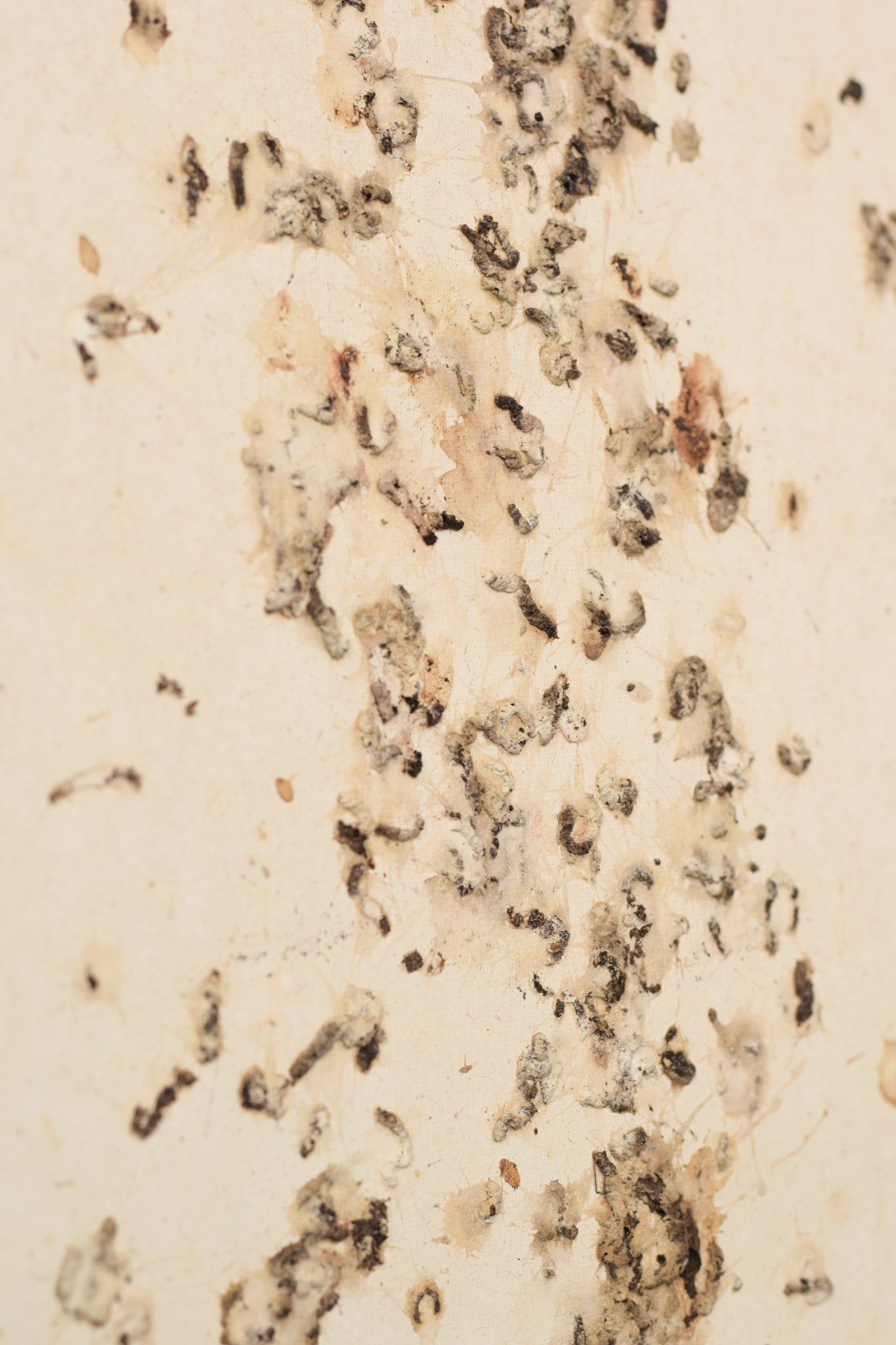 A picture of a book with the words August 2008 written on it.