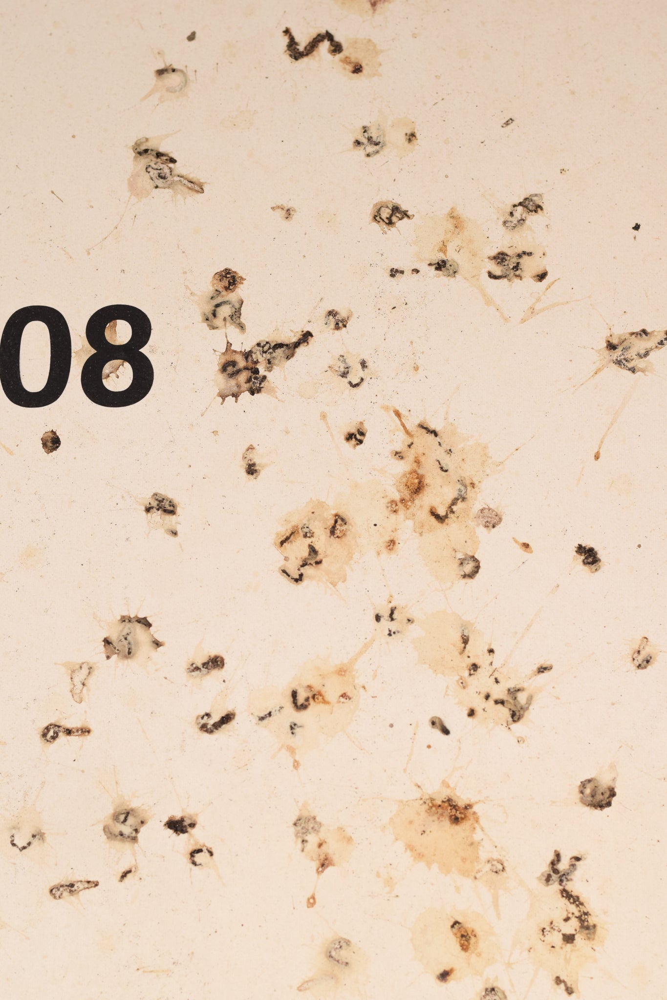 A picture of a book with the words August 2008 written on it.