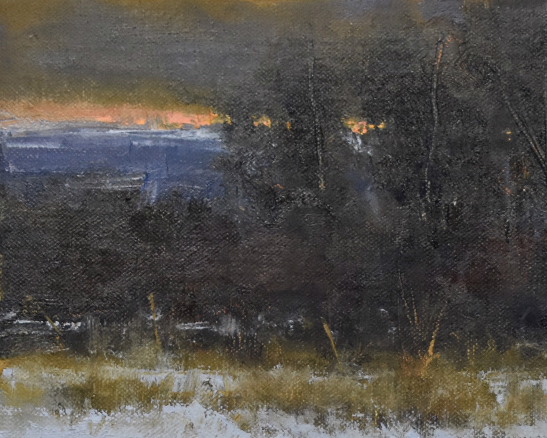 Winter Afield