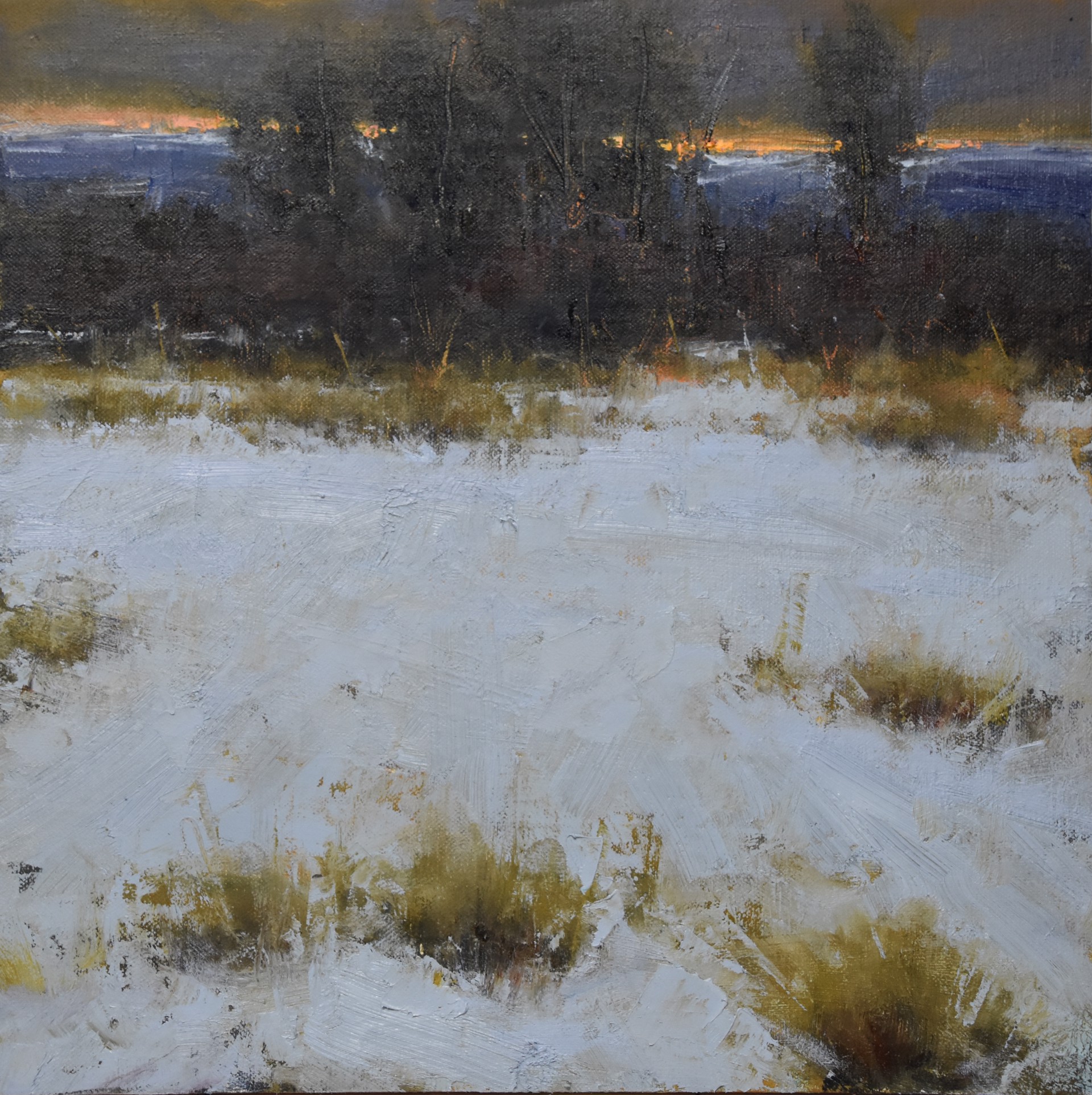 Winter Afield by Dan Young, 2025