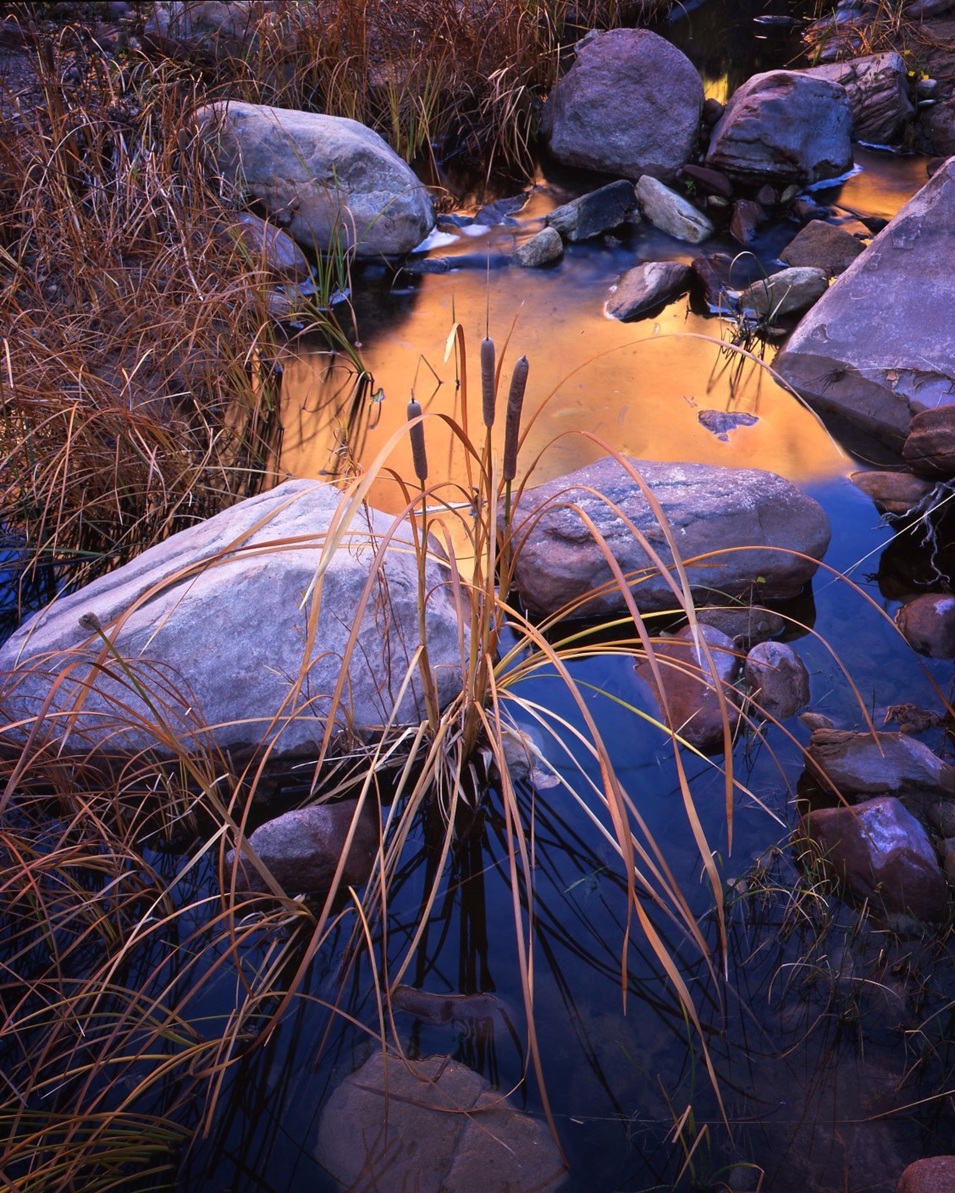 A small stream with rocks and grass in the water.