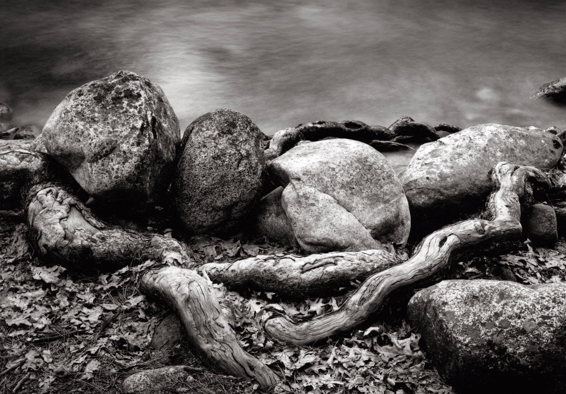 A black and white photo of rocks and driftwood on the shore of a lake.