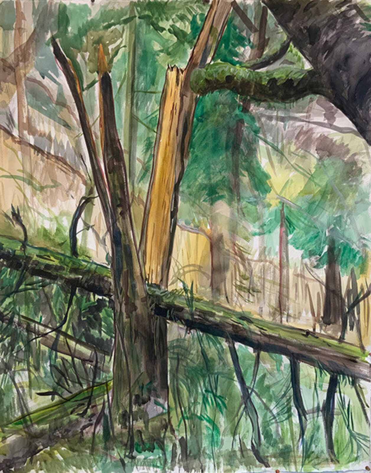 A watercolor landscape of a dense forest with a fallen tree trunk crossing the foreground.