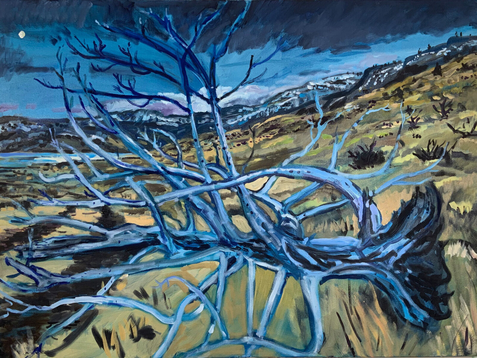 Ecstatic Fallen Tree, Dusk by Daniel Duford, 2025