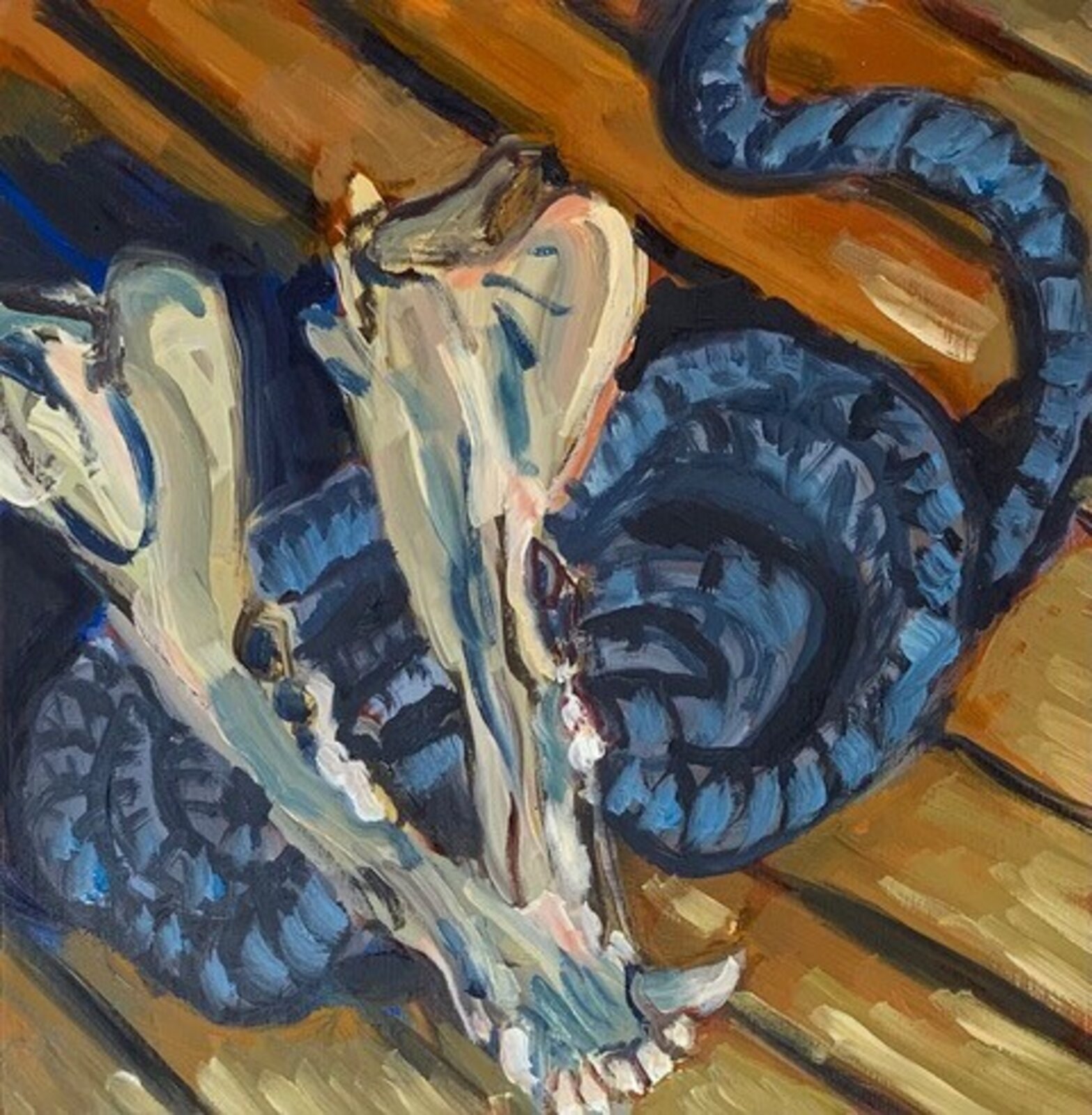 A close-up of a coiled blue snake resting on a wooden surface.