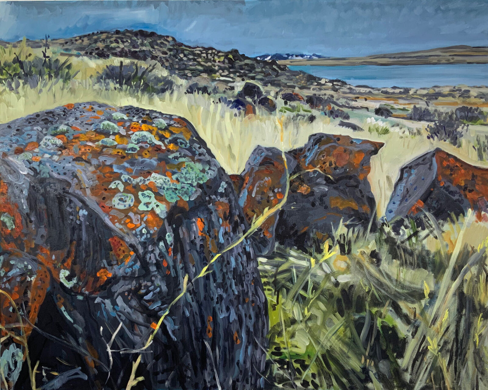 Lake Abert Basaltic Stones by Daniel Duford, 2025