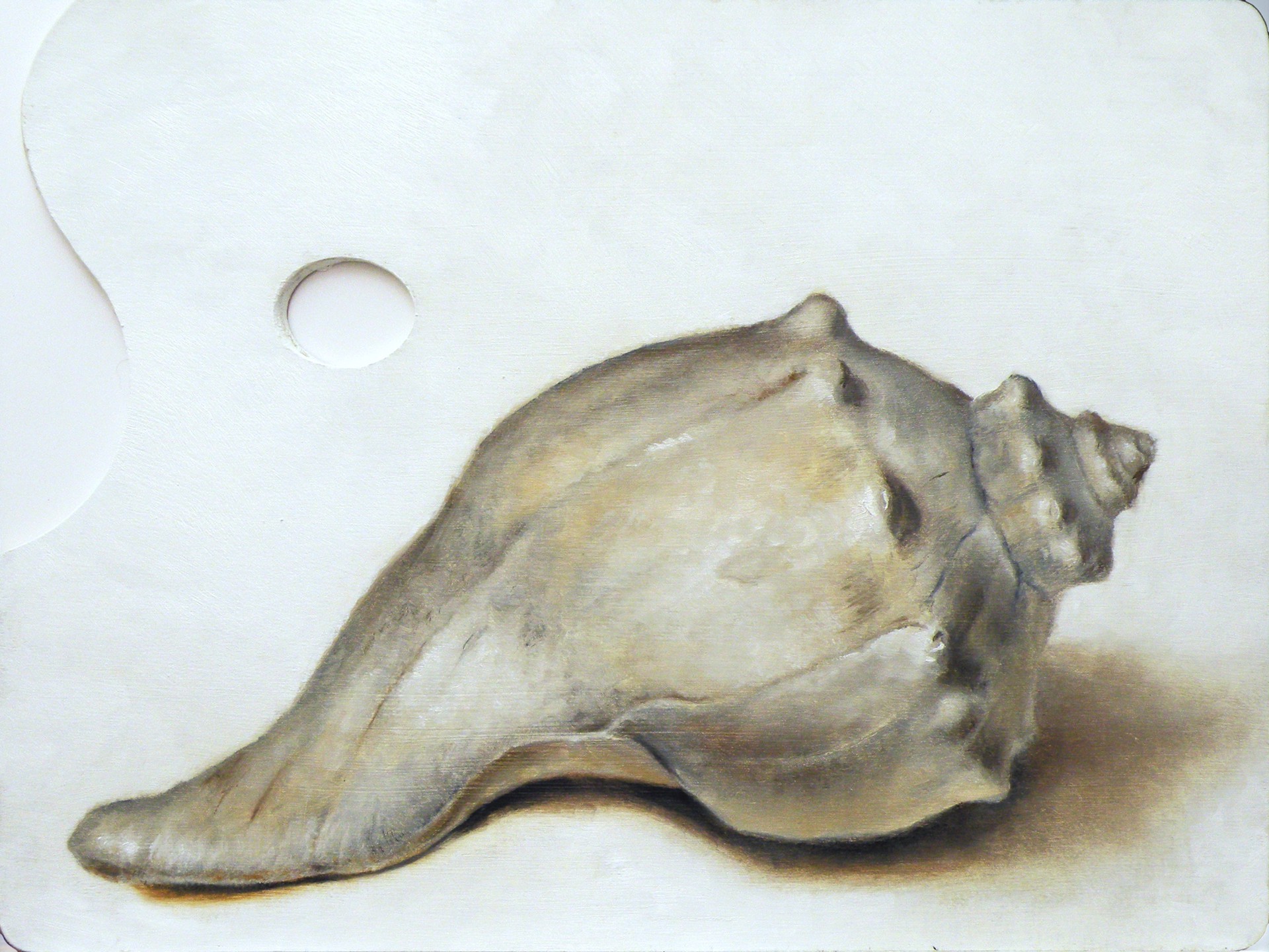 A painting of a seashell on a piece of paper.